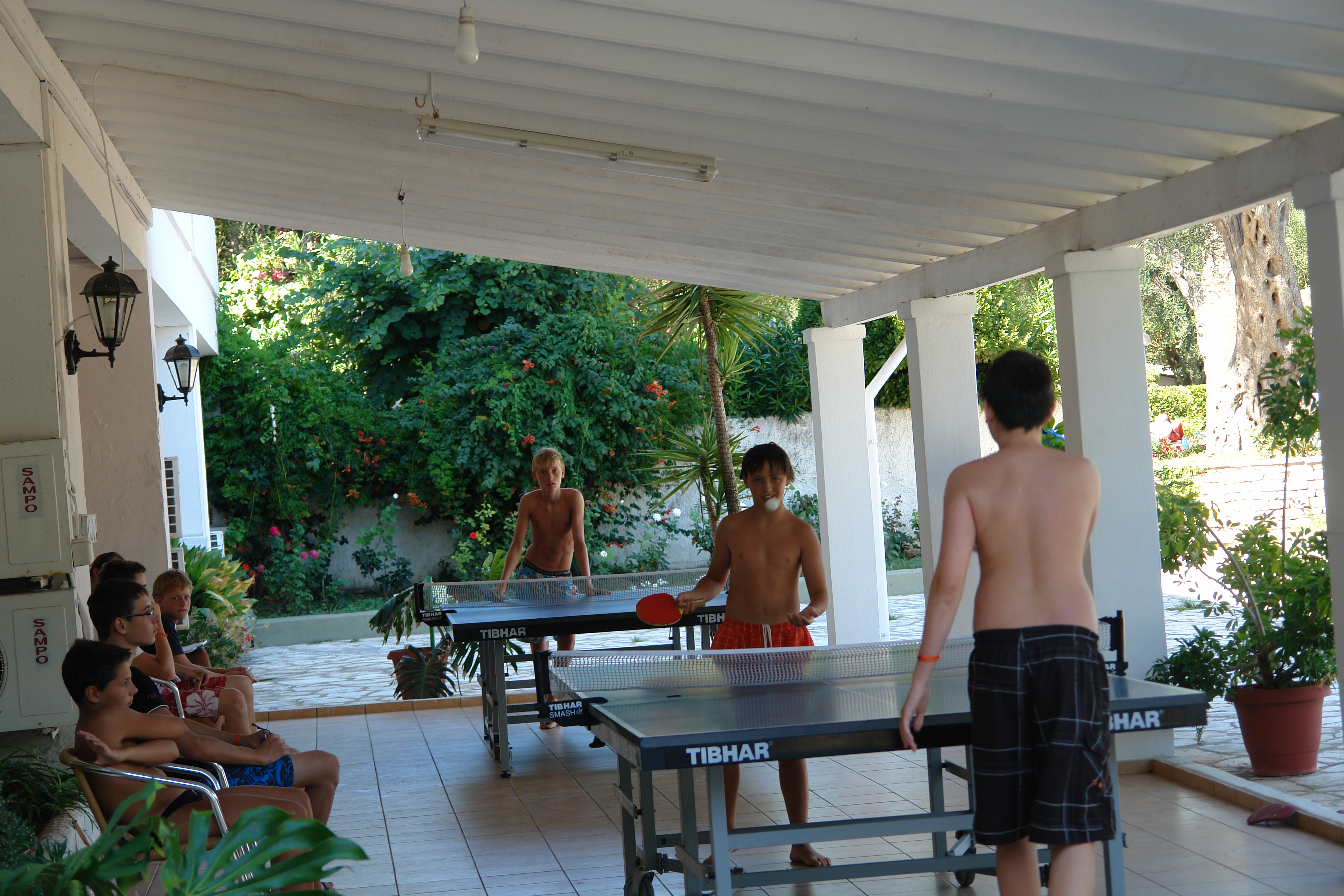 Sports and Entertainment