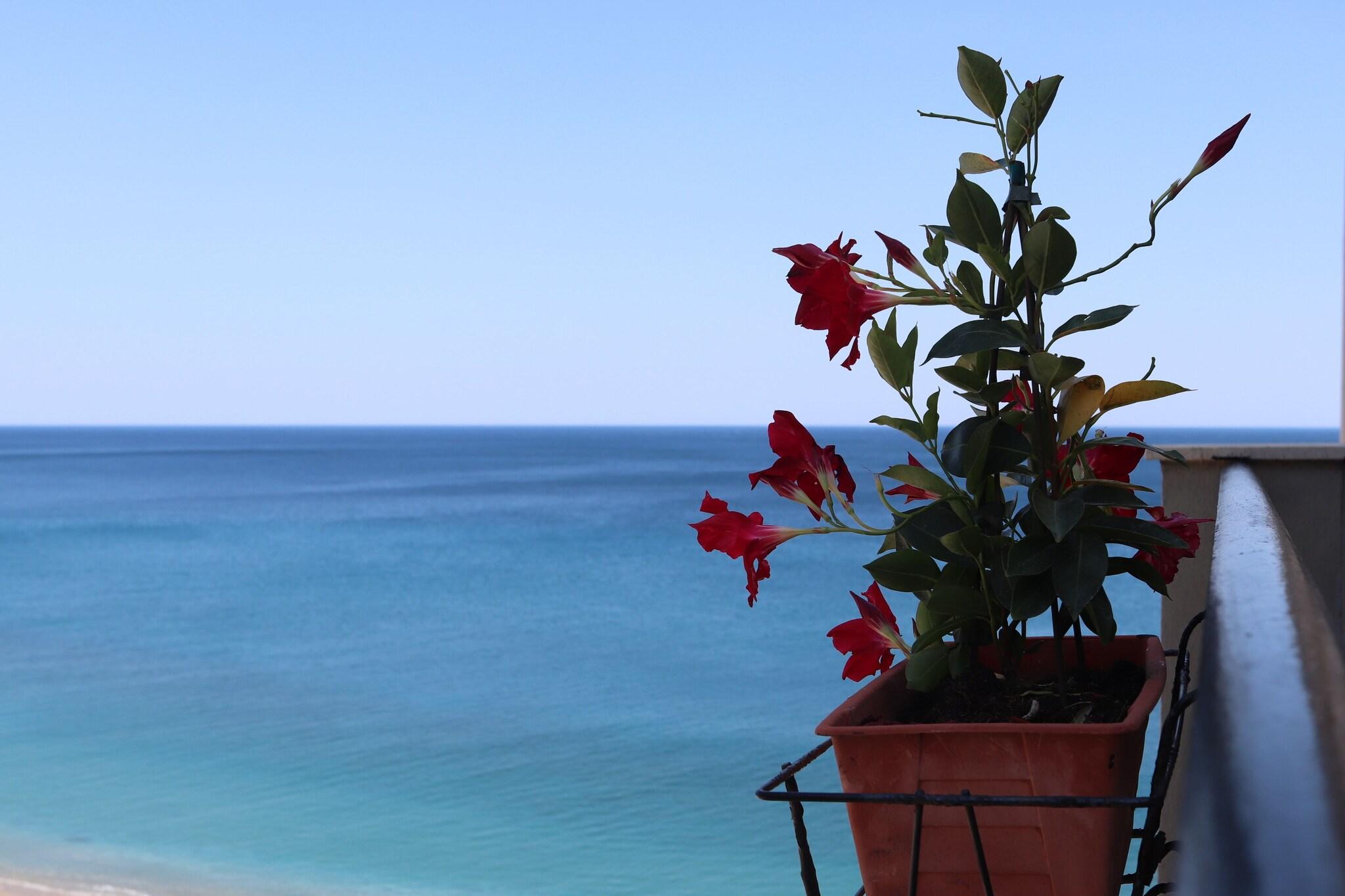 Double with Balcony with Views