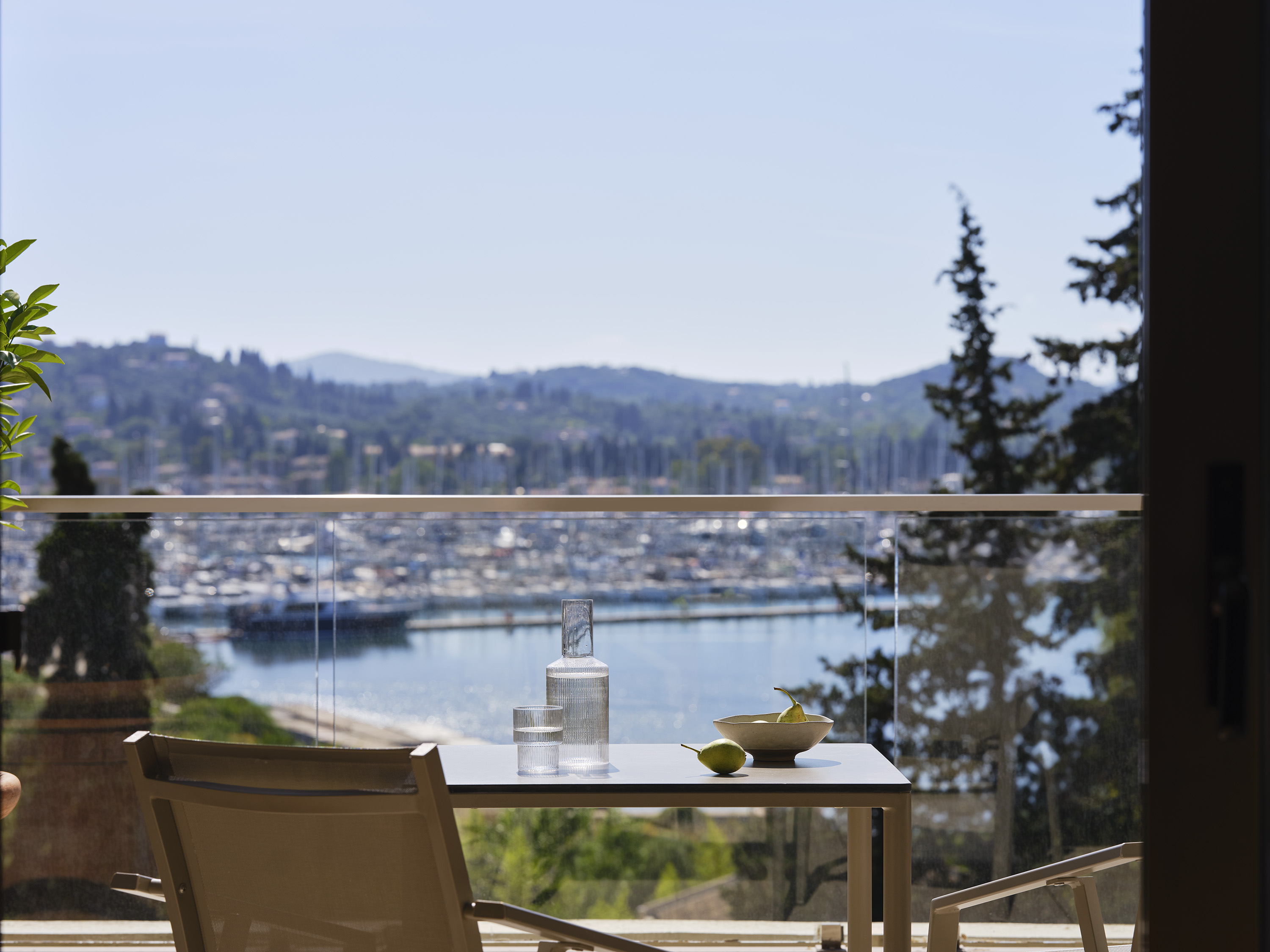 Double Bay View