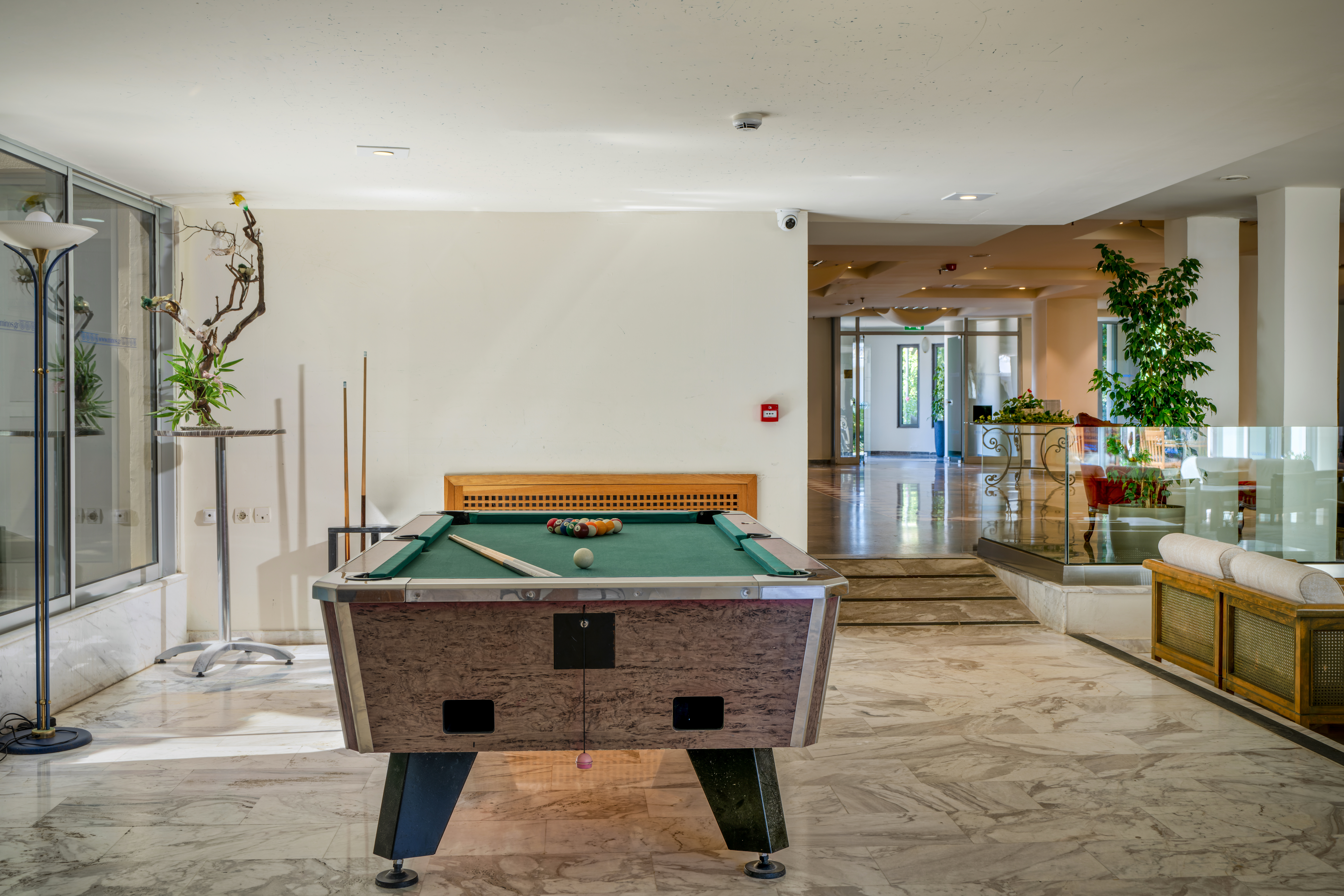 Sports and Entertainment