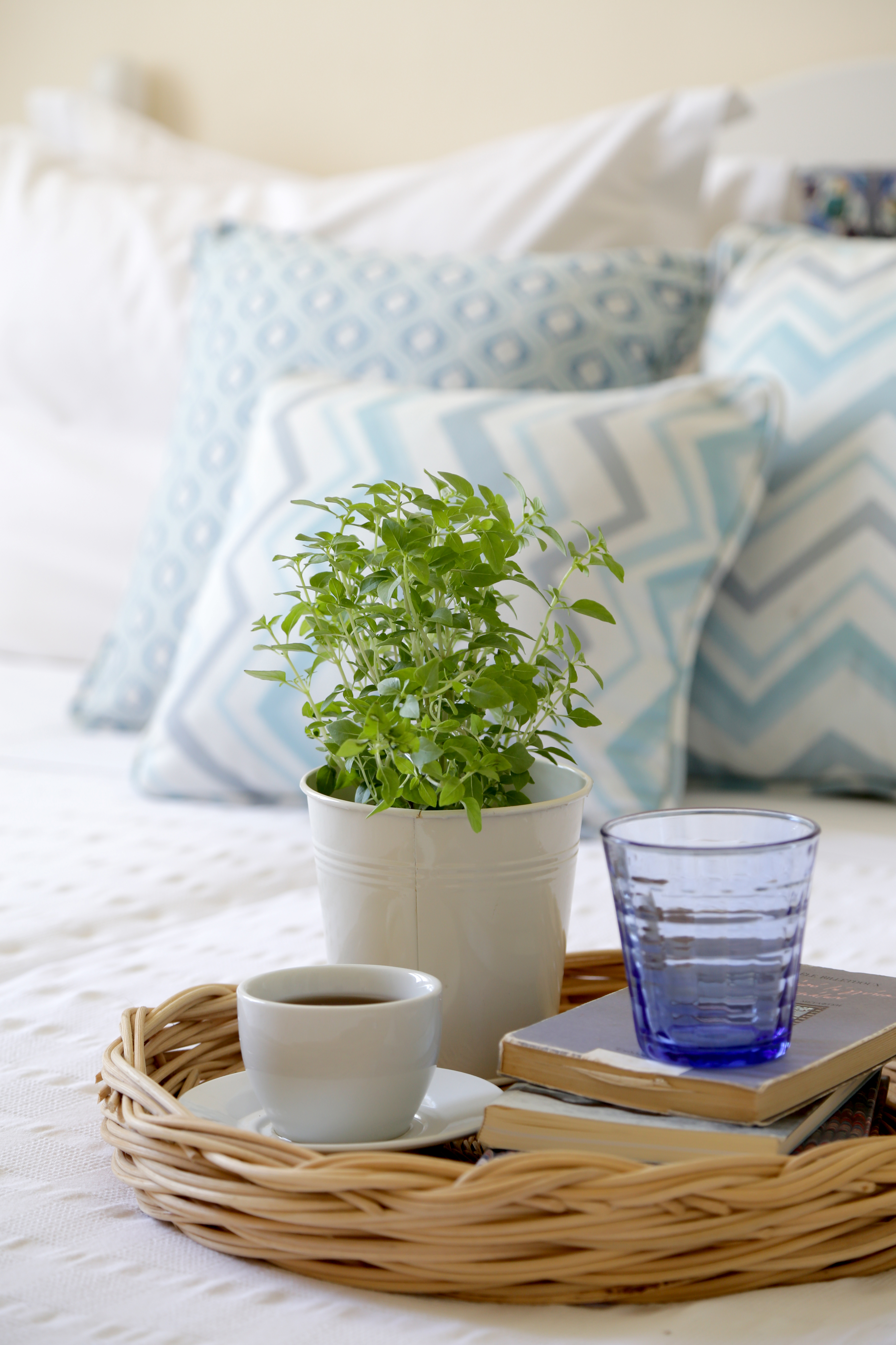 Junior Suite Pool View