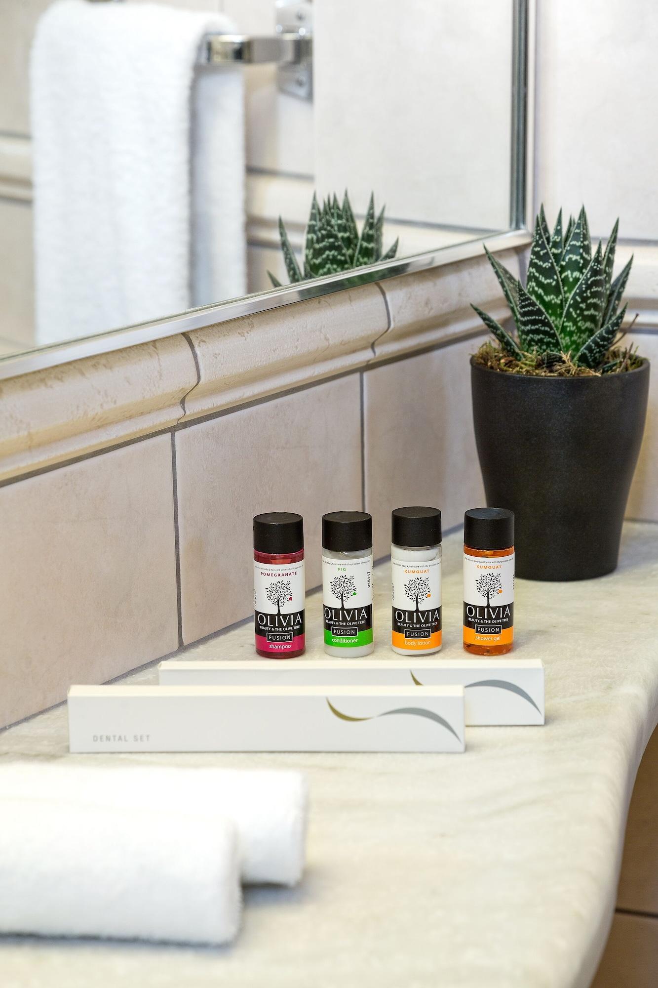 Suite King Bed One Bedroom 