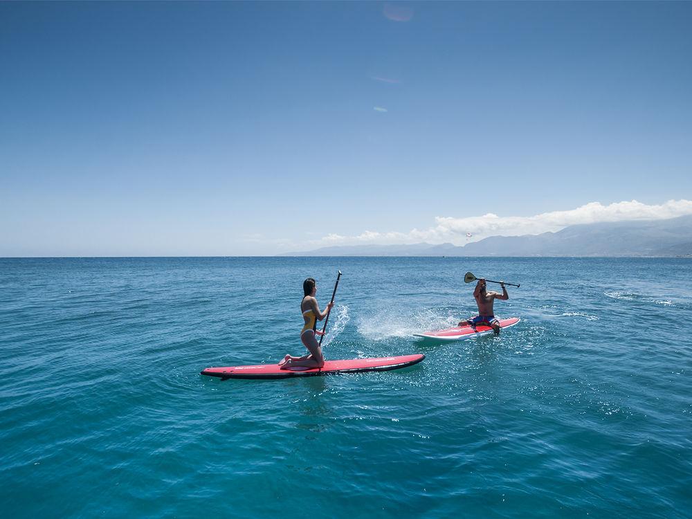 Sports and Entertainment