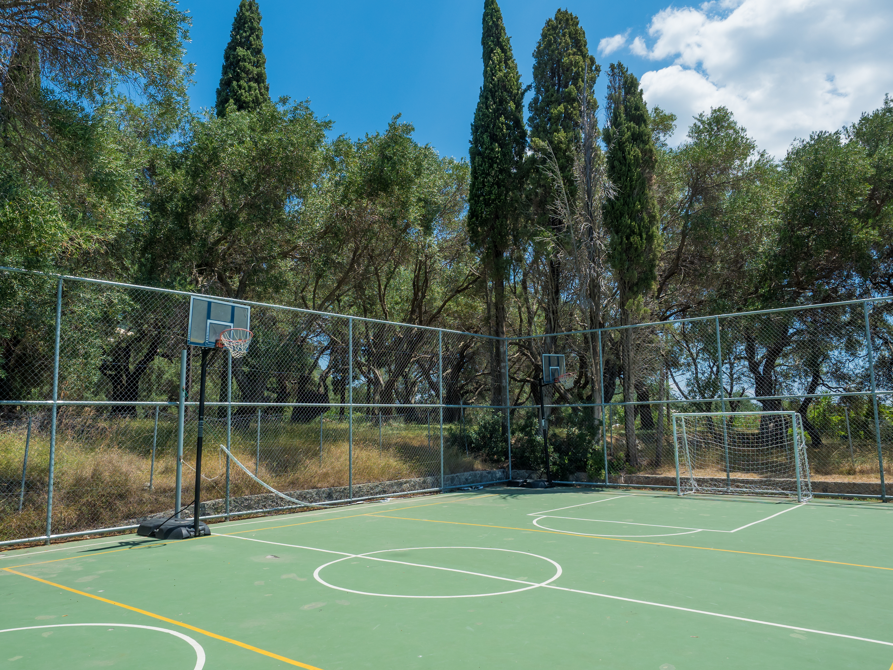 Sports and Entertainment