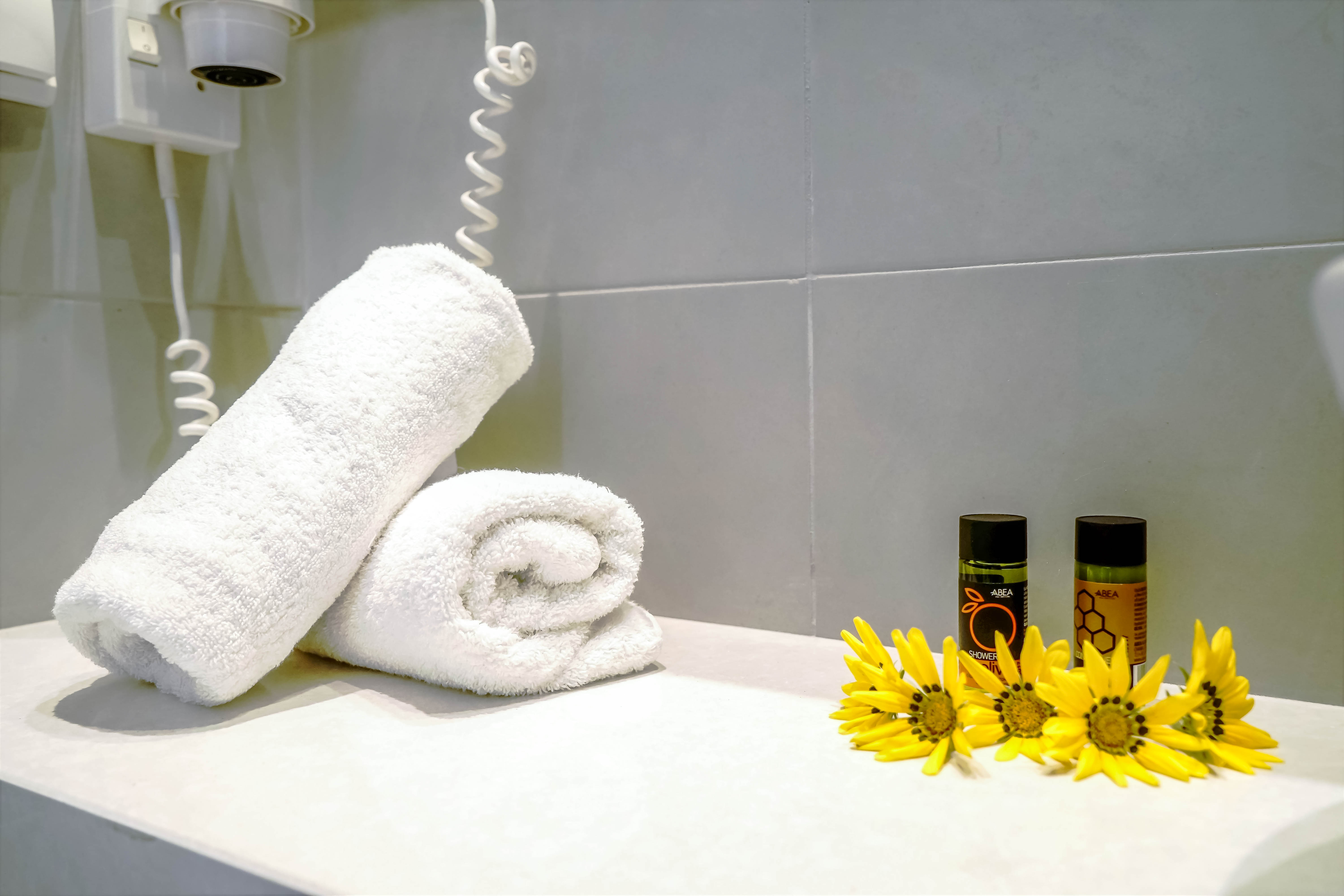 Double or Twin Land View