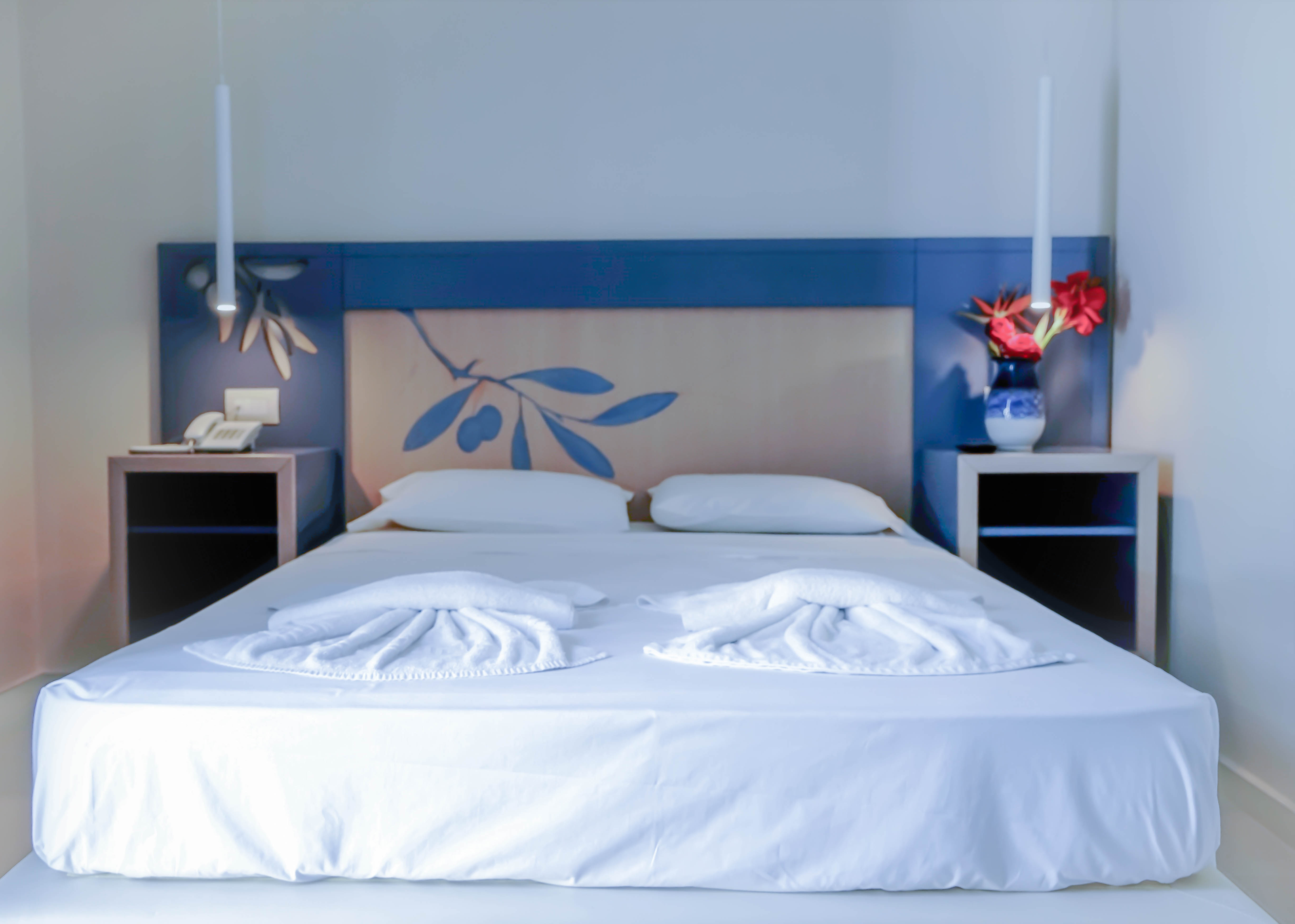 Double or Twin Deluxe