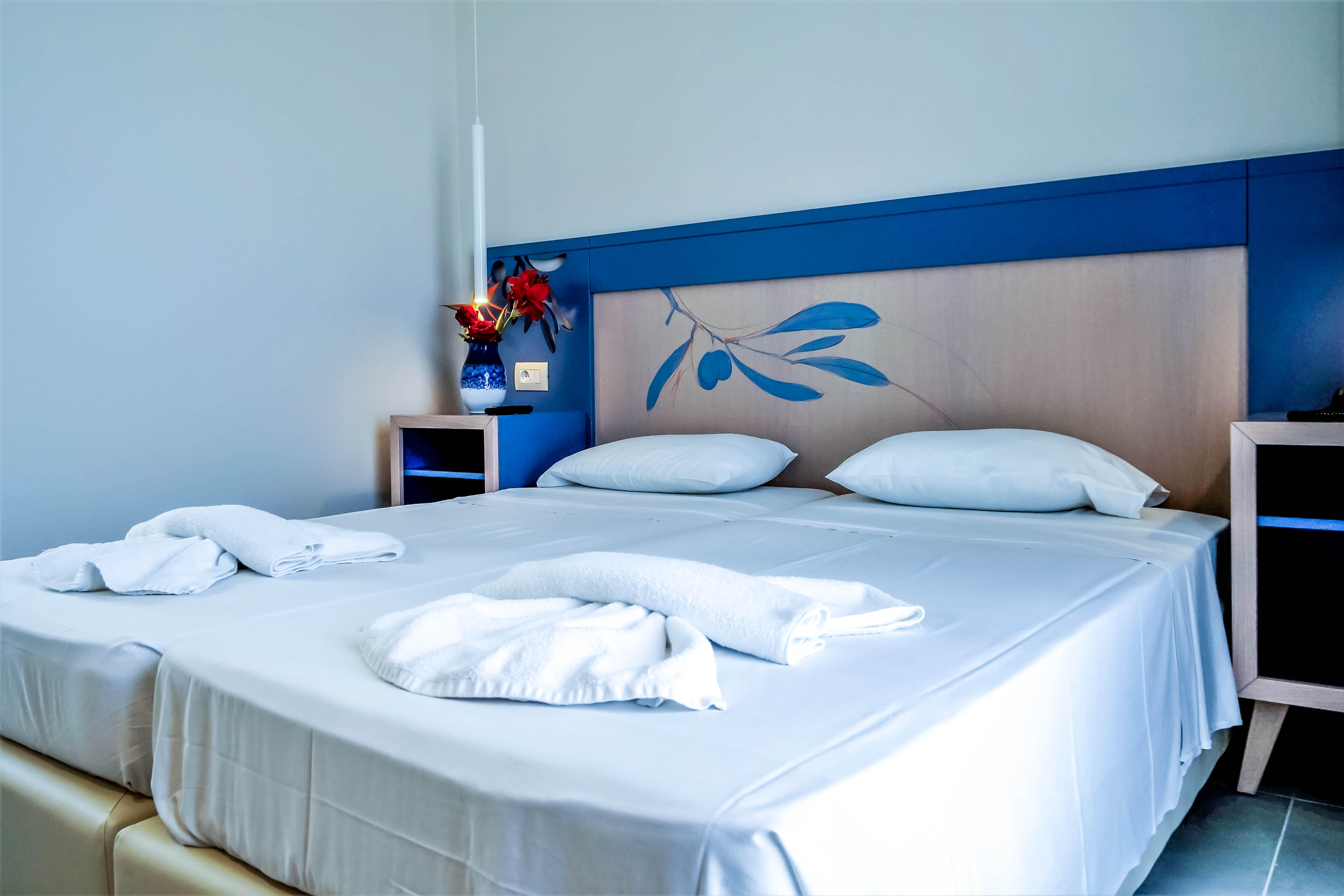 Double or Twin Deluxe