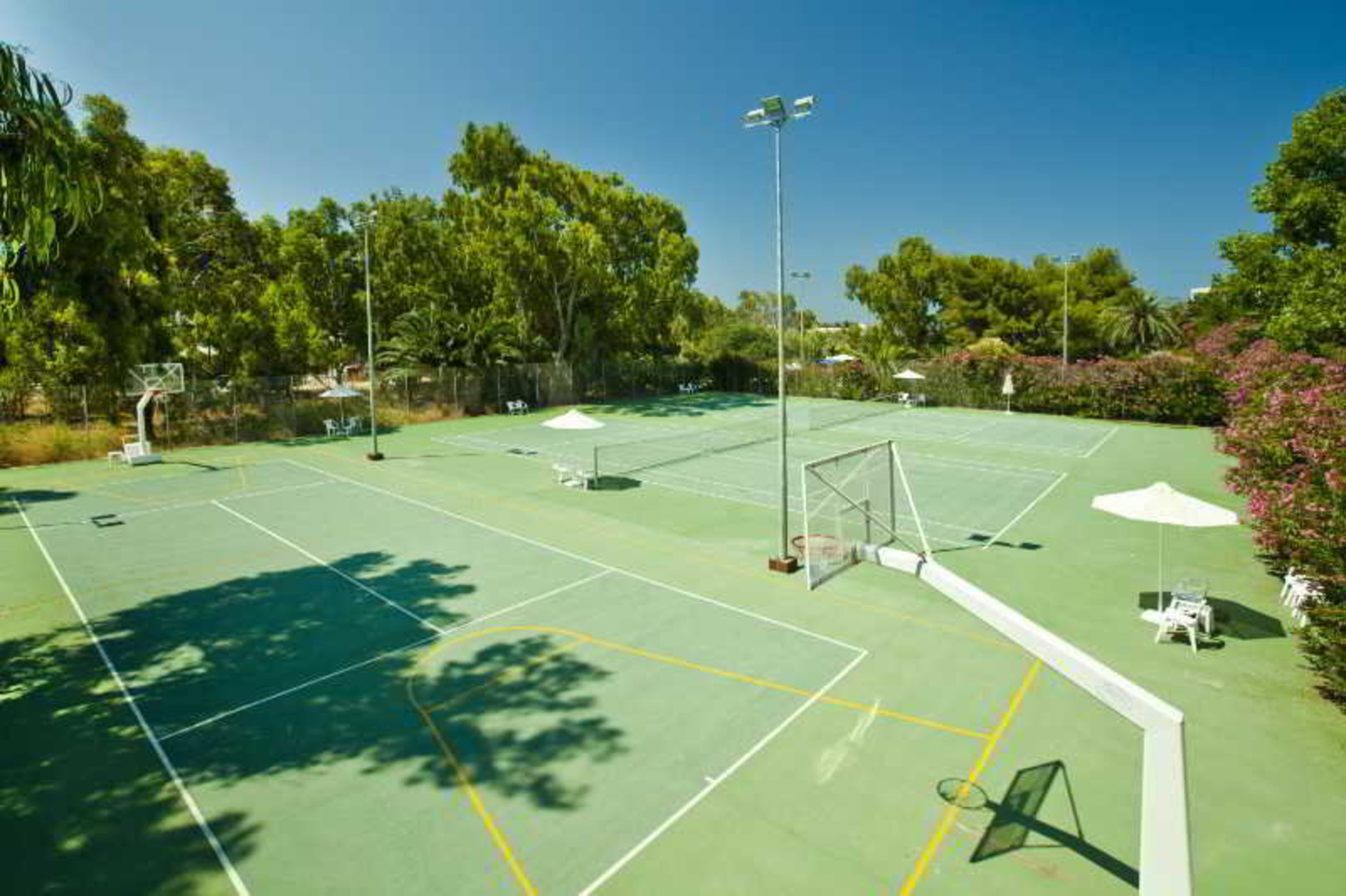 Sports and Entertainment