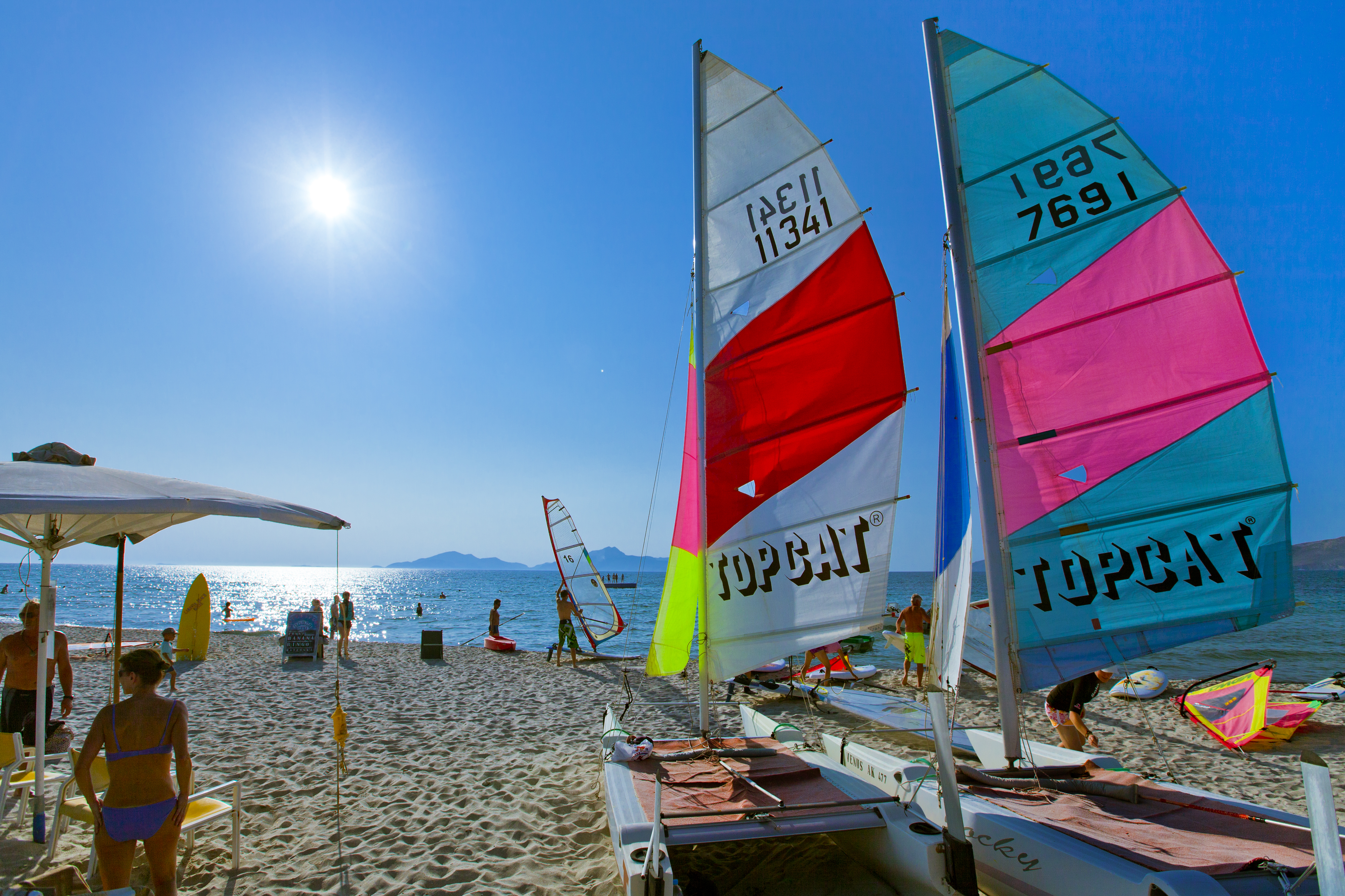 Sports and Entertainment