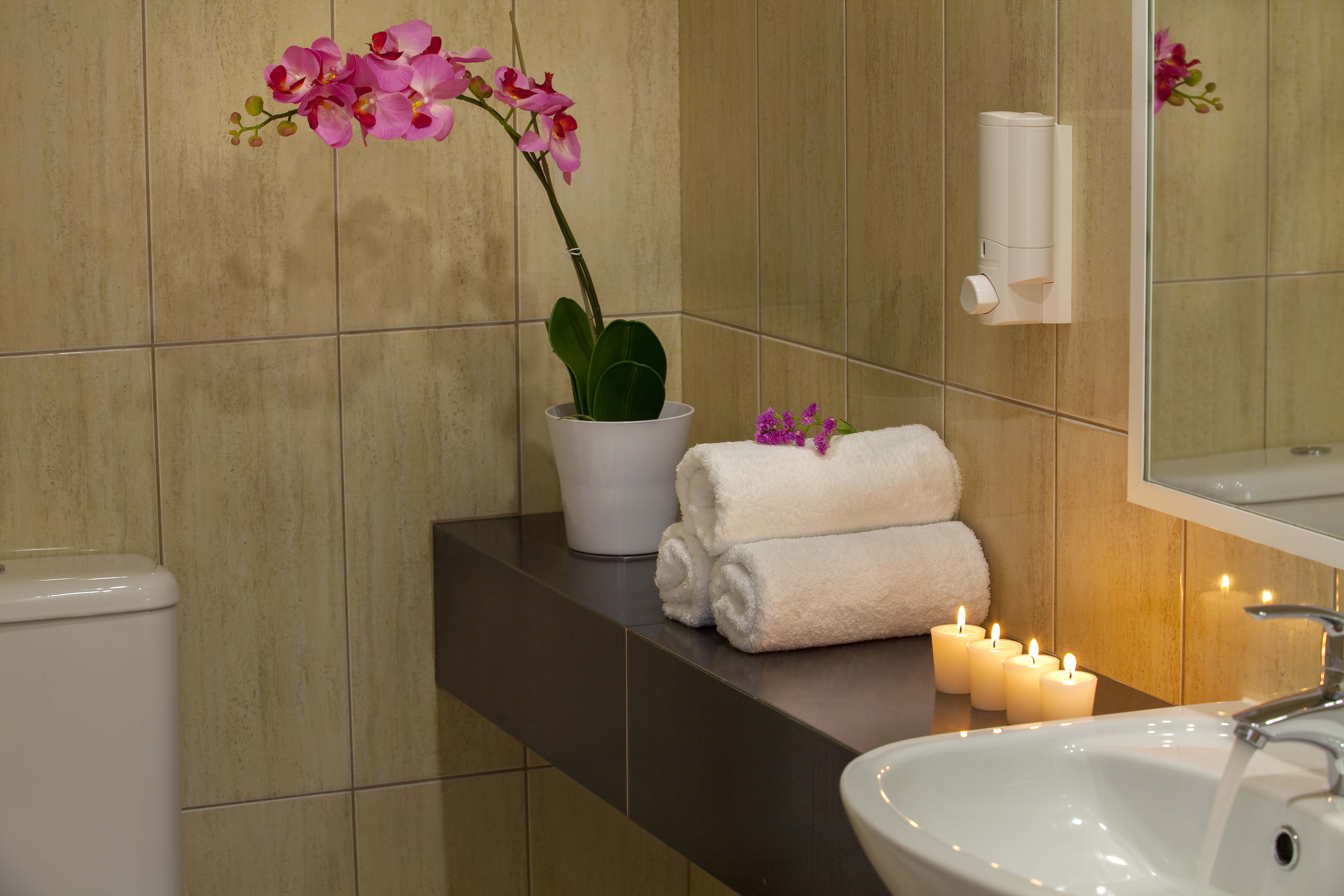 Double or Twin Superior