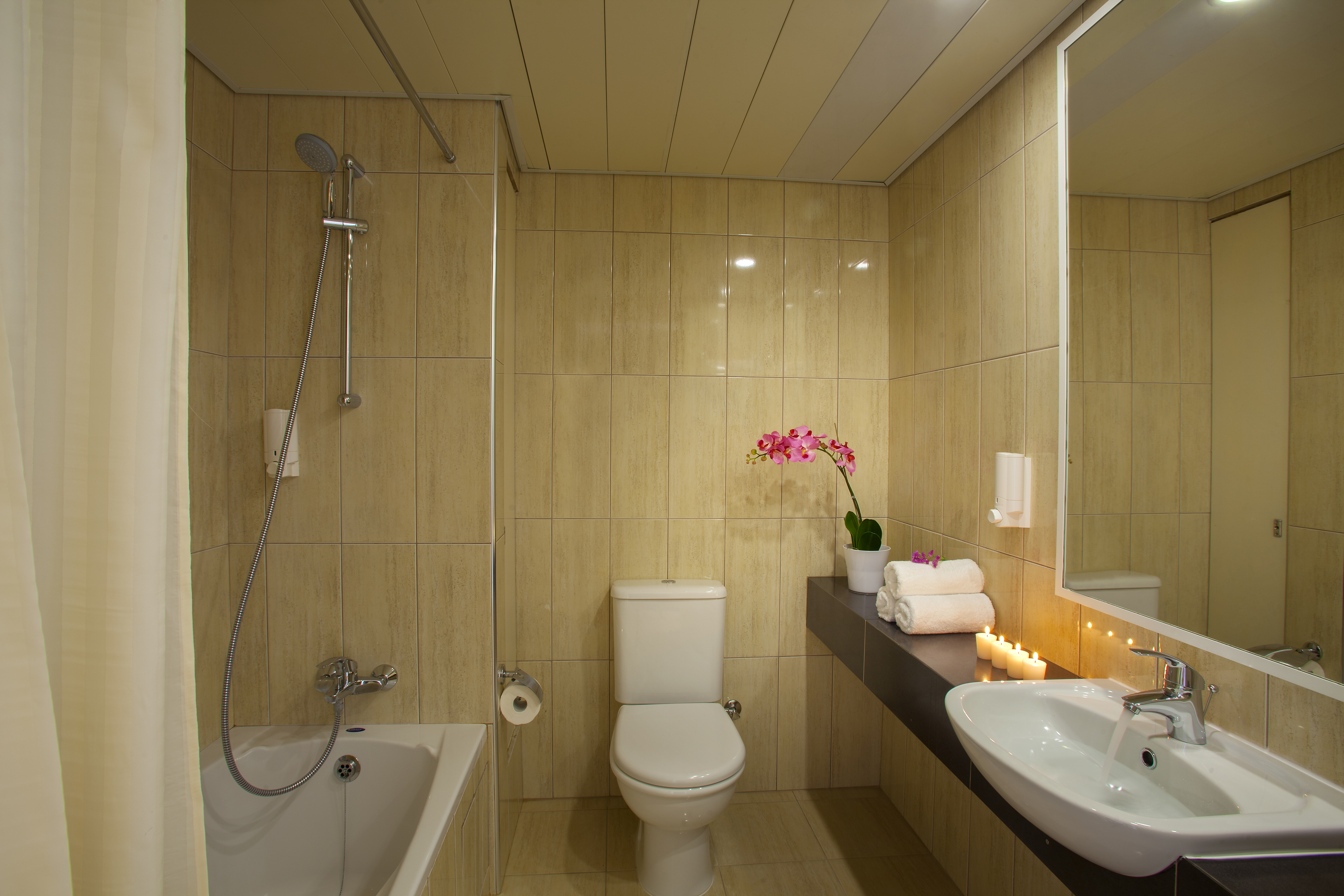 Double or Twin Standard