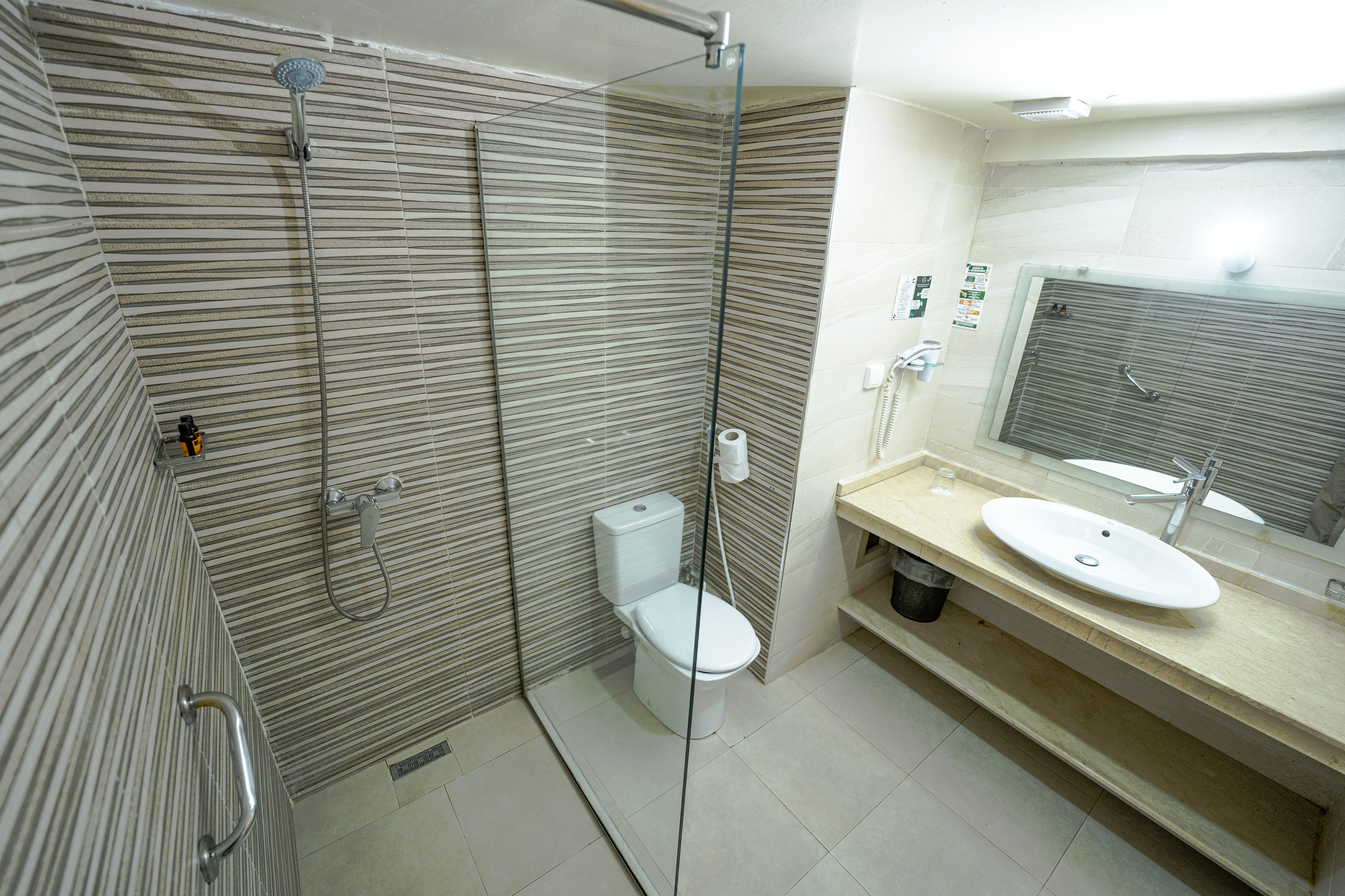 Double or Twin Standard