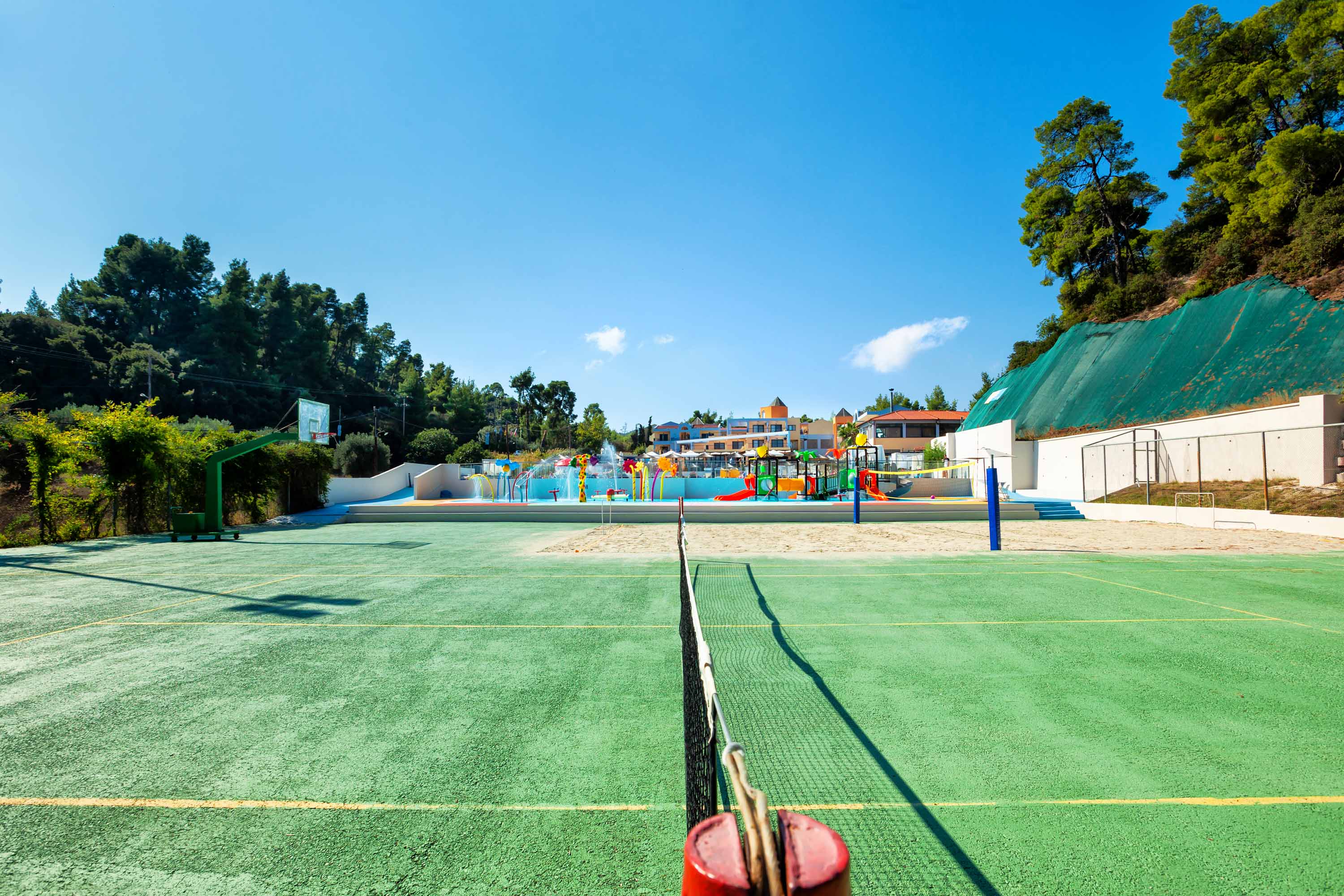 Sports and Entertainment