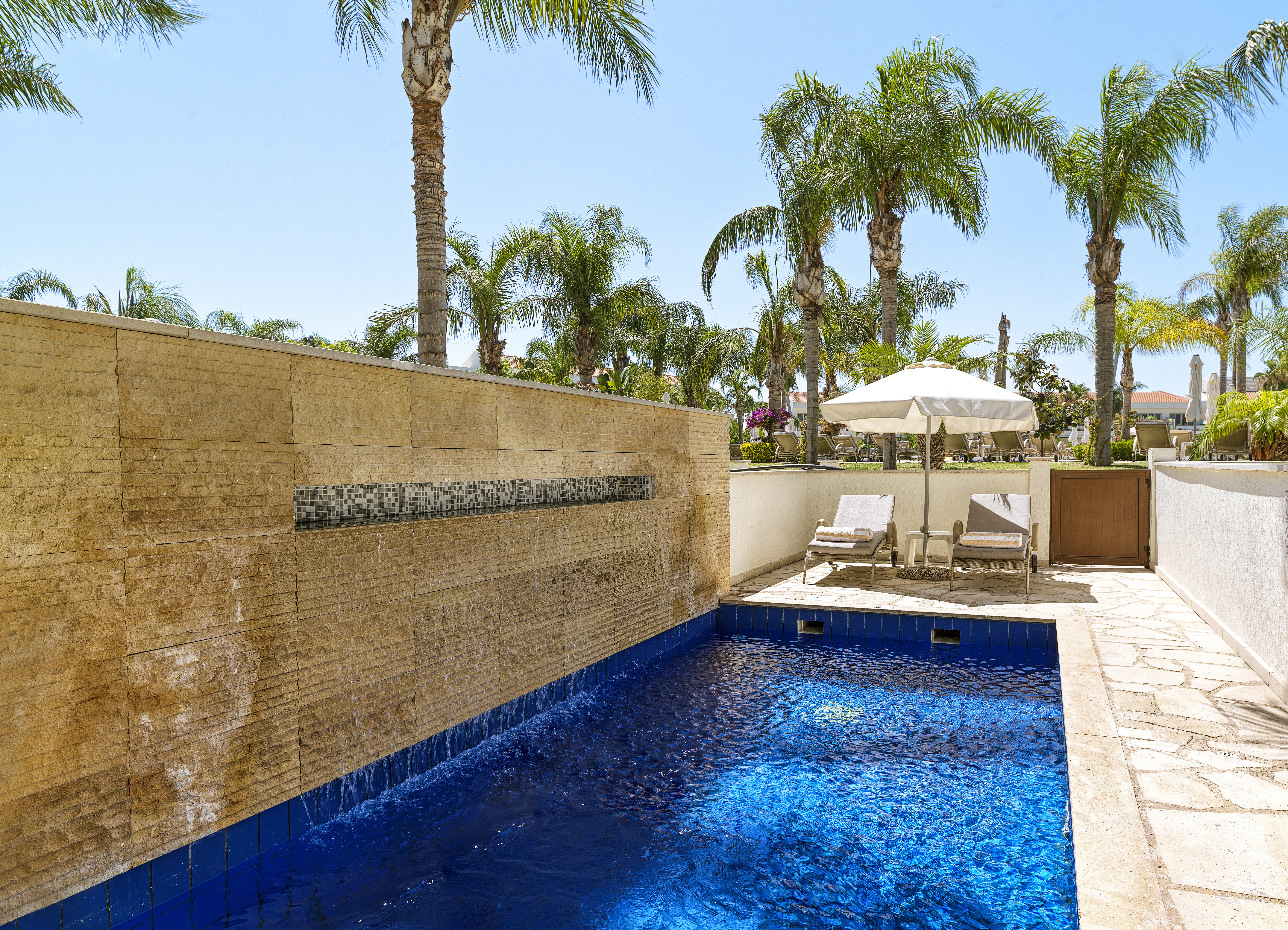 Suite with Private Pool