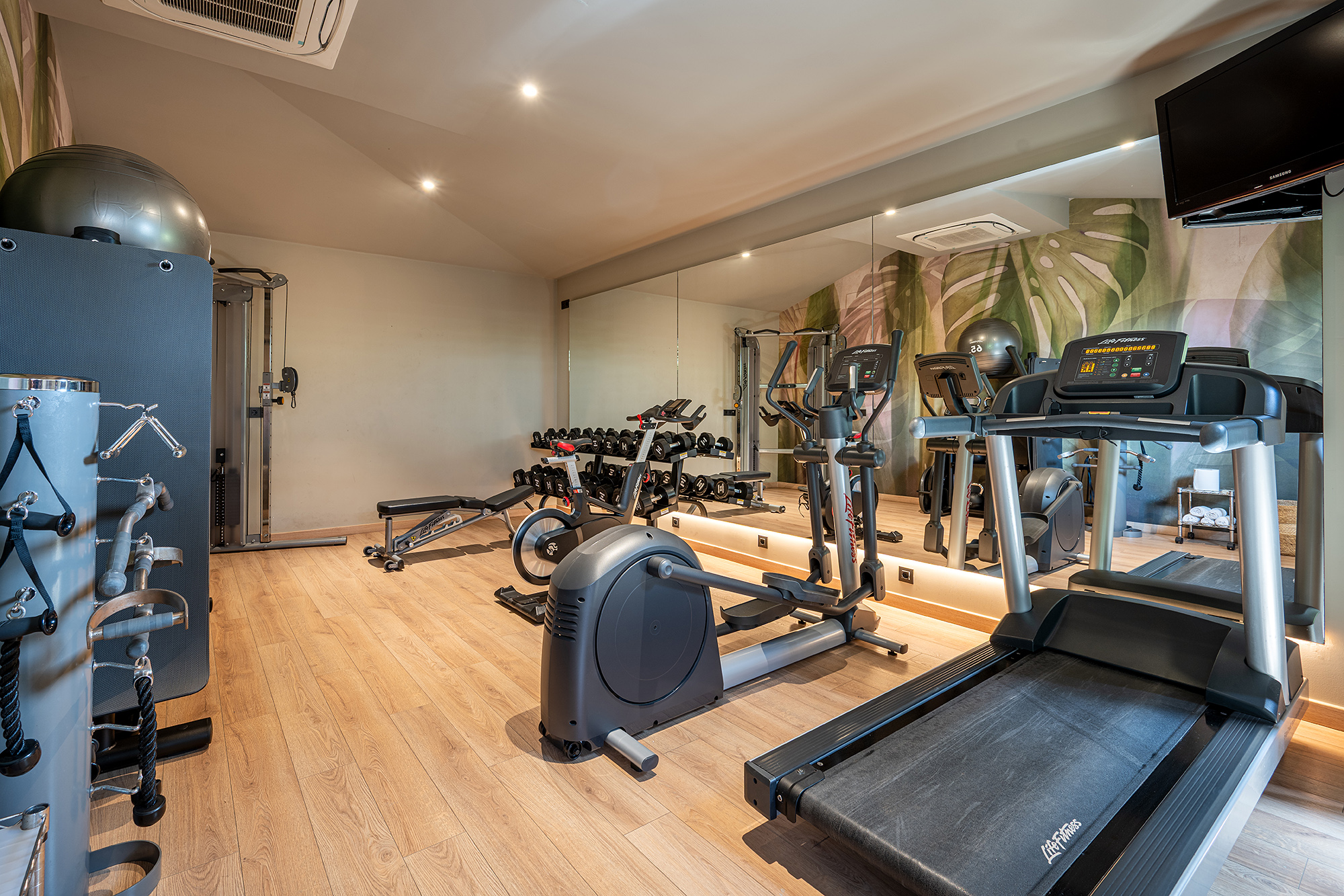 Sports and Entertainment