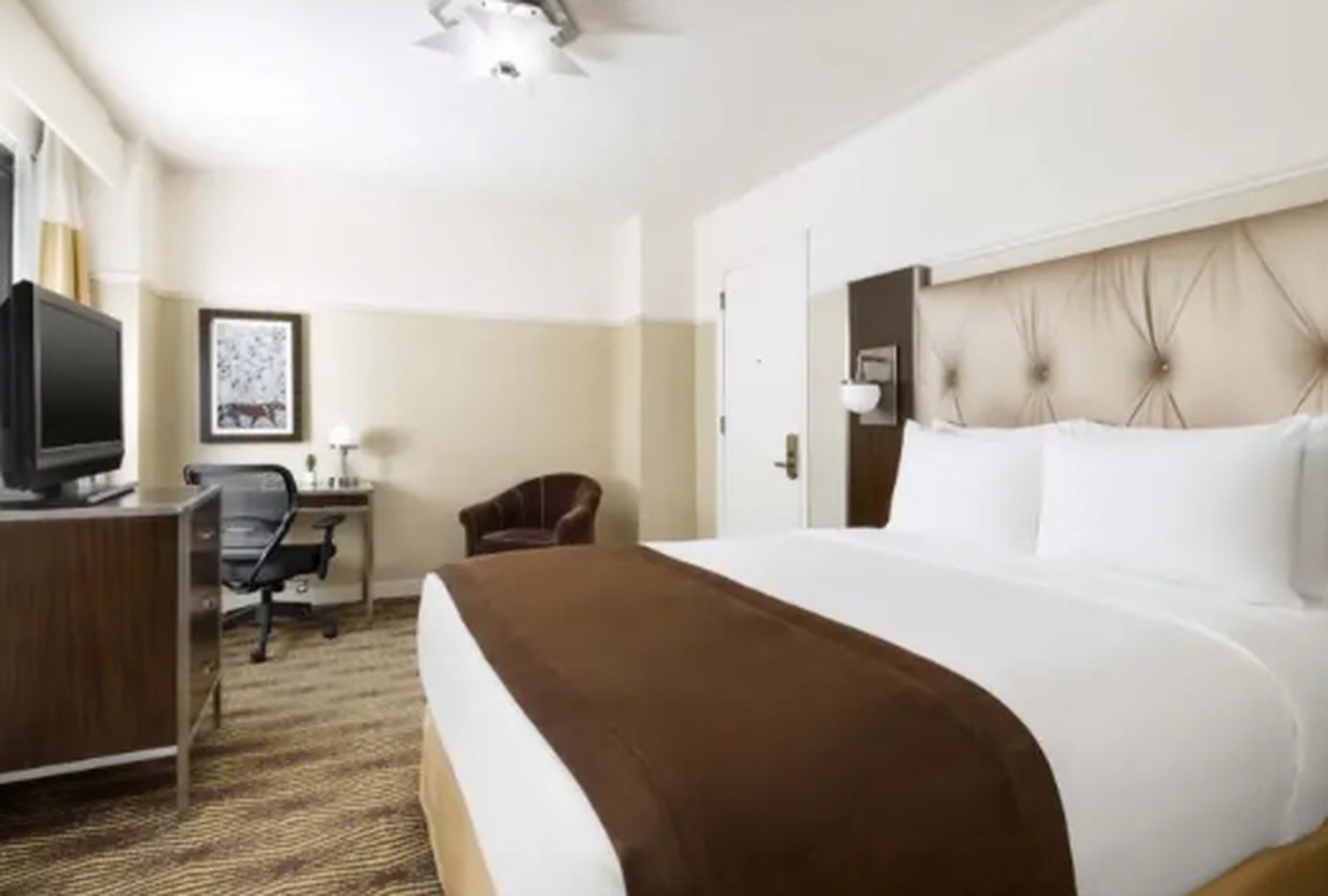 Room Queen Size Bed