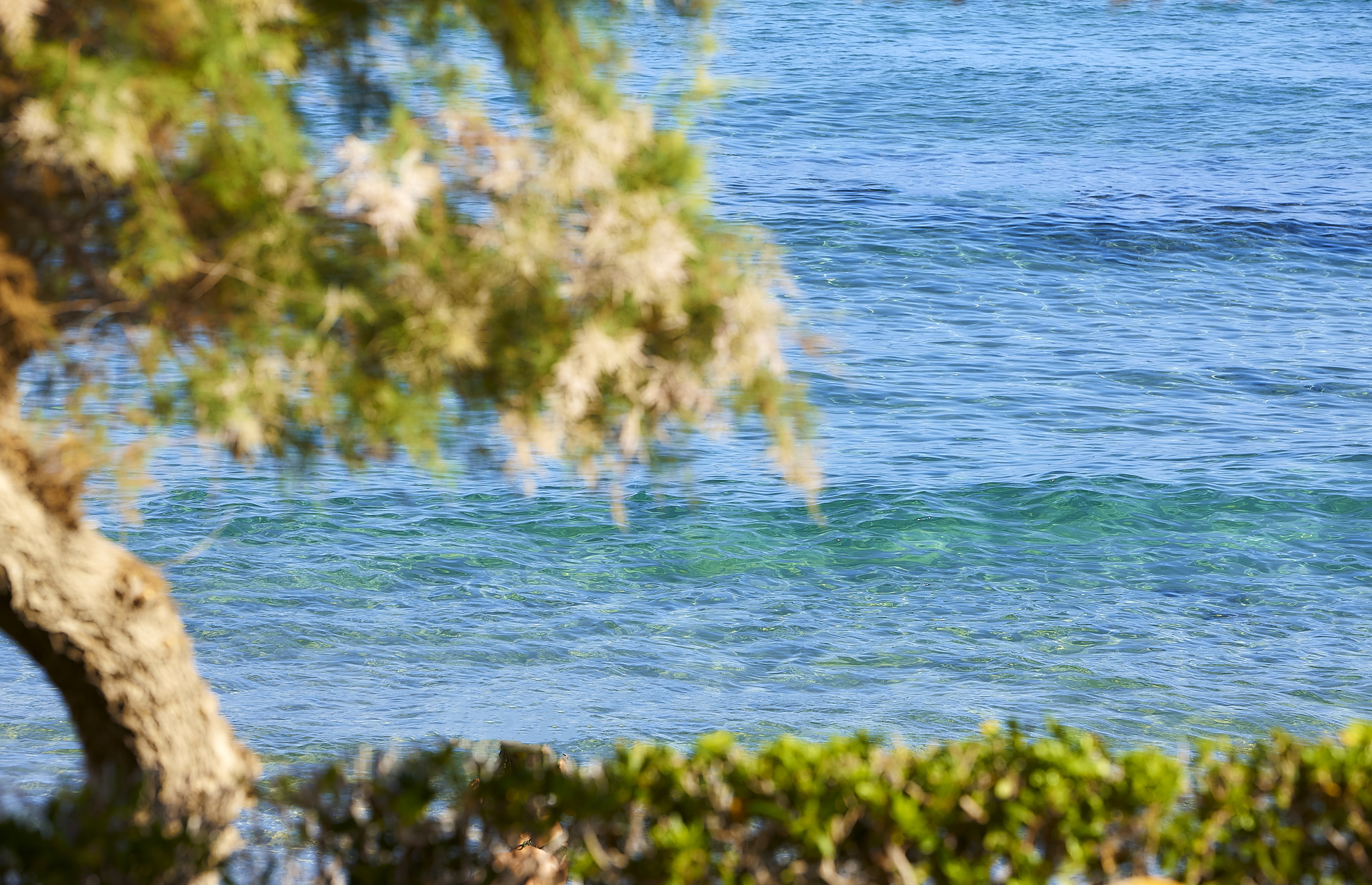 Double or Twin Sea View