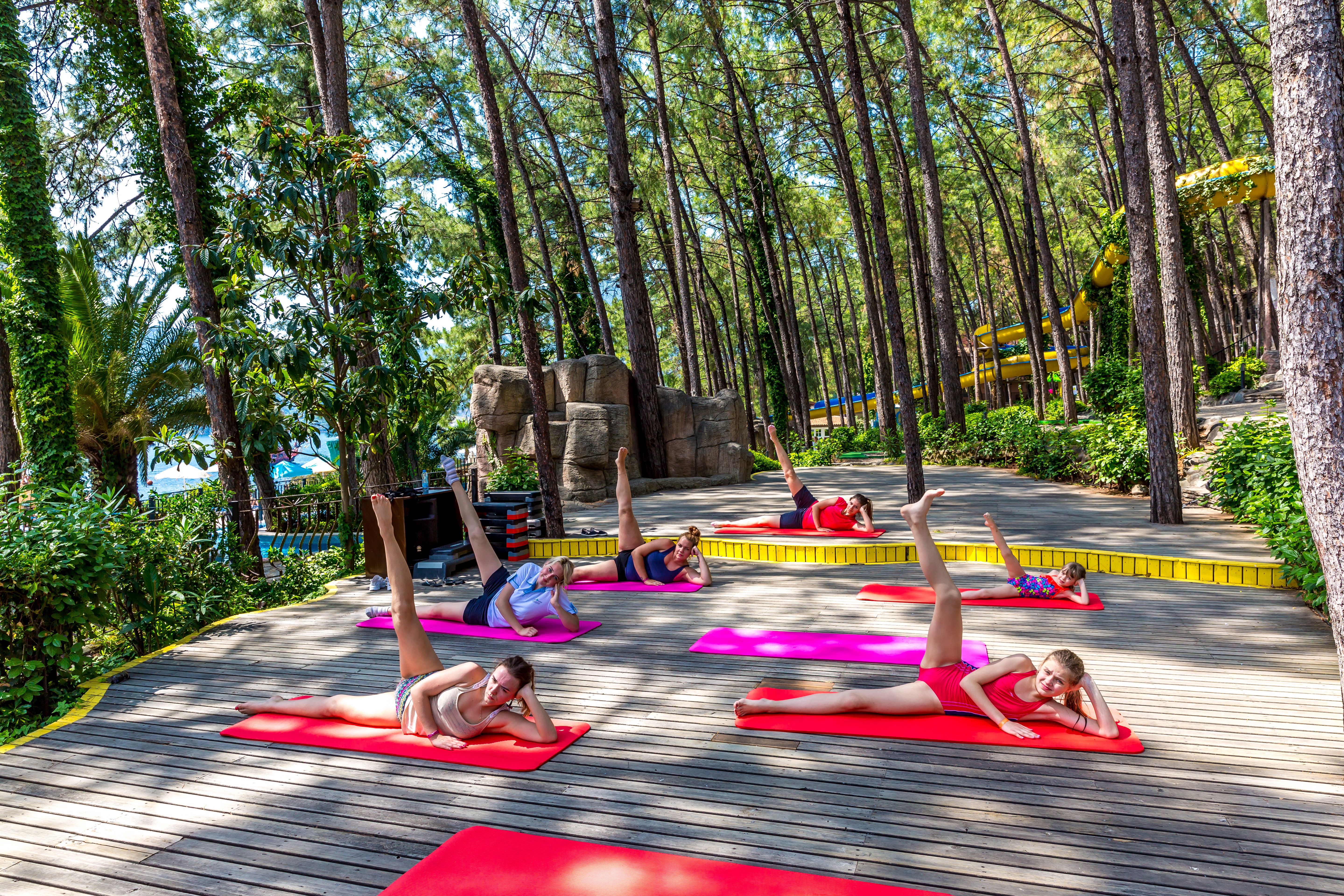 Sports and Entertainment