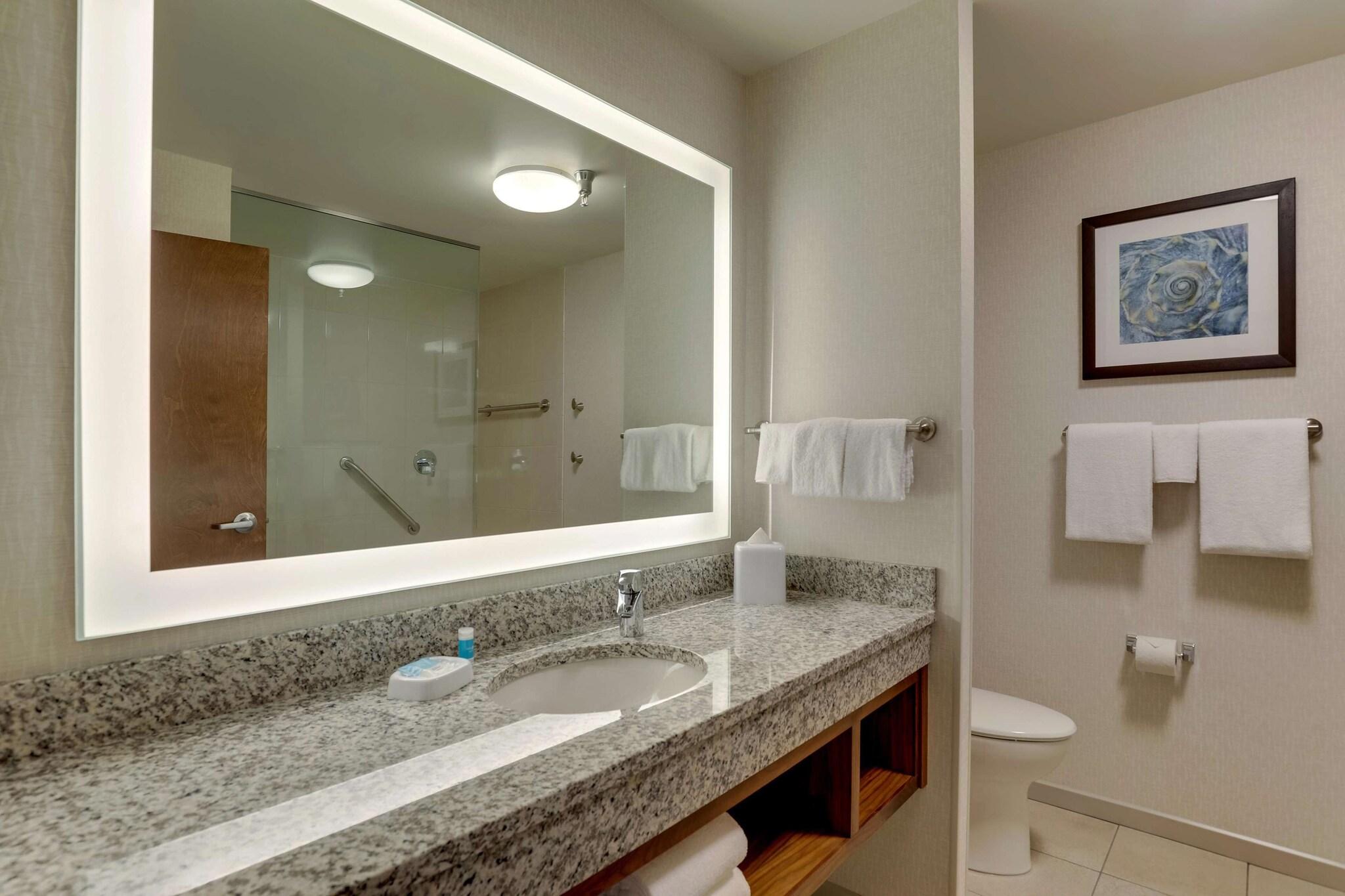 Room Accesible Deluxe 