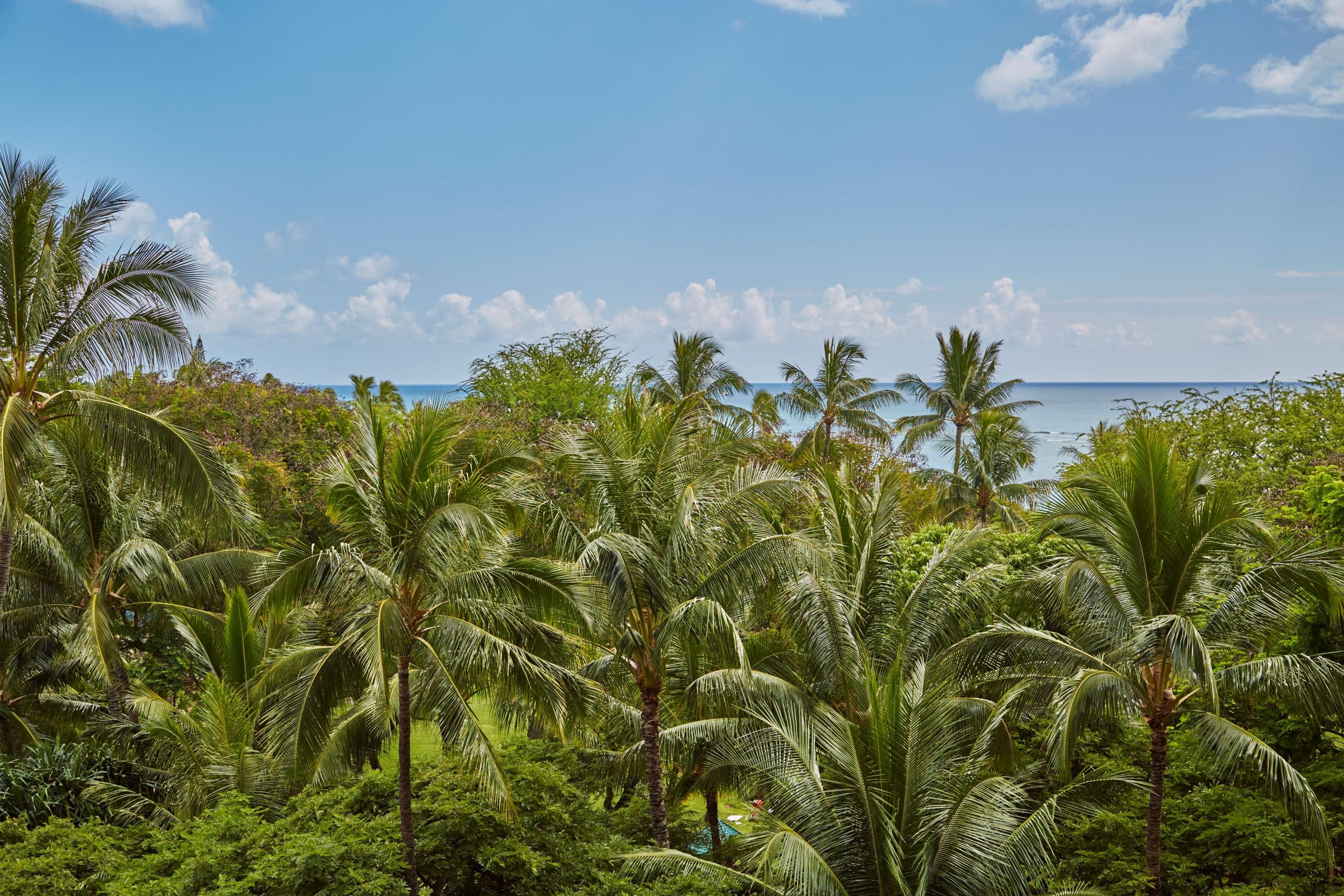 Double Partial Ocean View King Bed