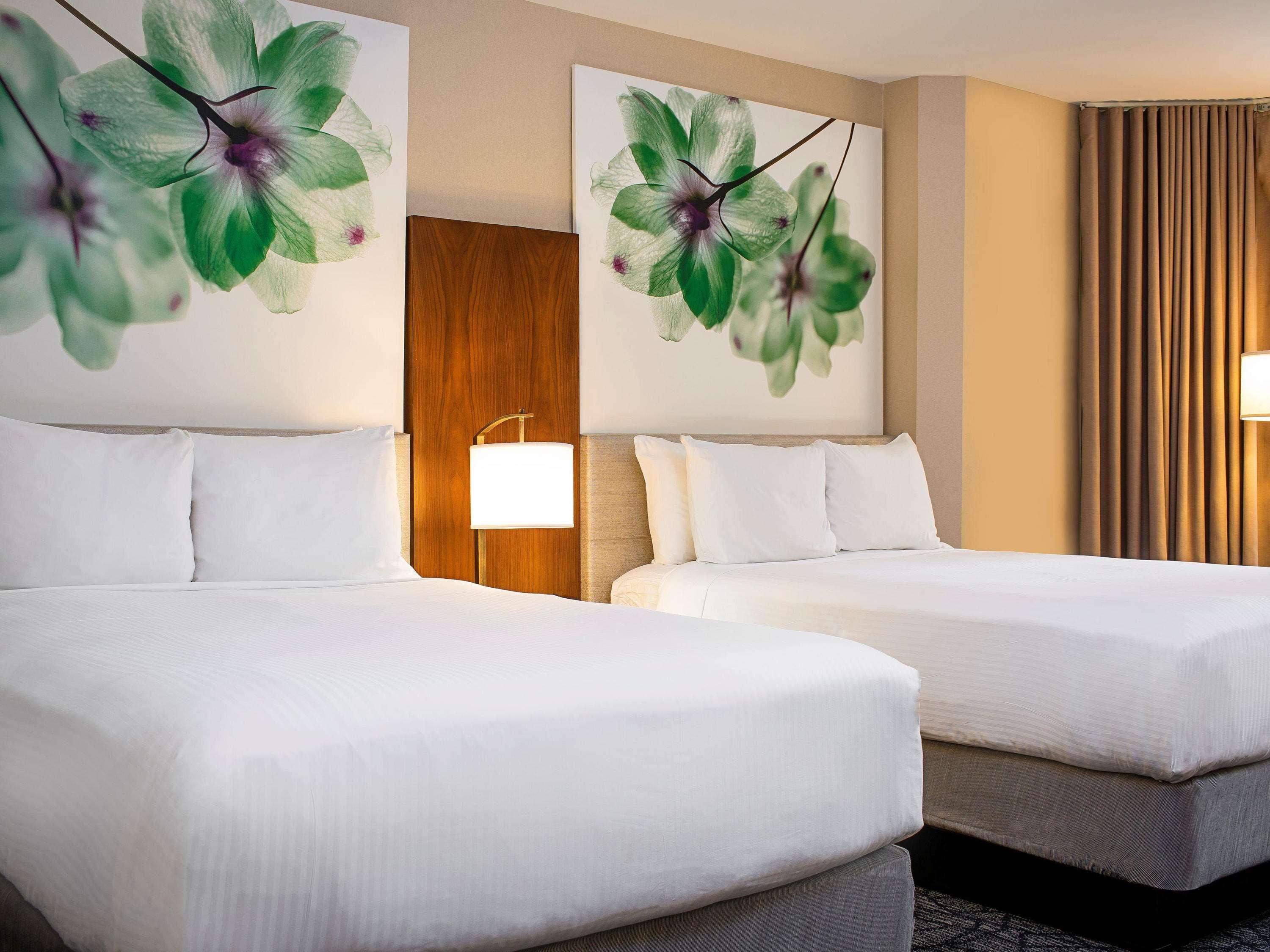 Double Deluxe Two Double Beds