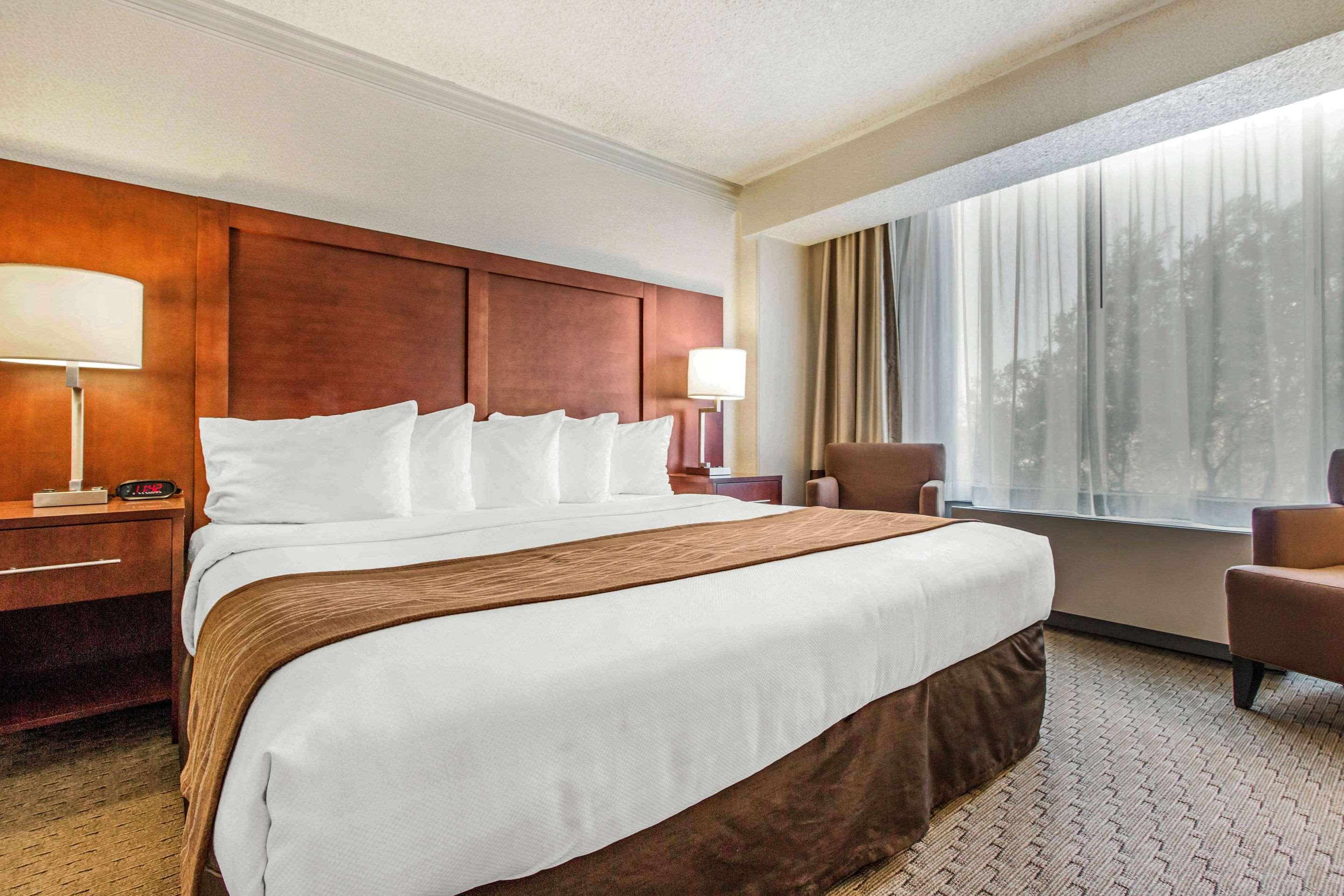 Suite King Bed Non Smoking