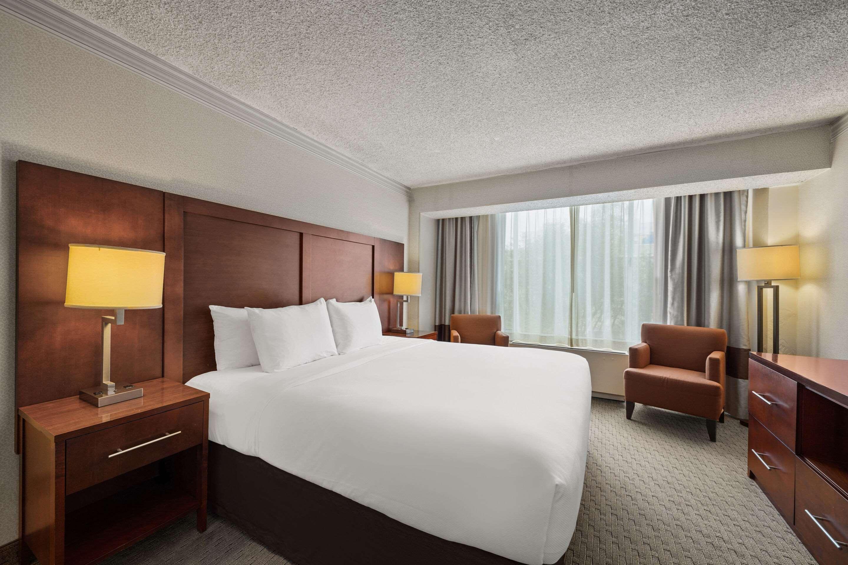 Suite King Bed Non Smoking