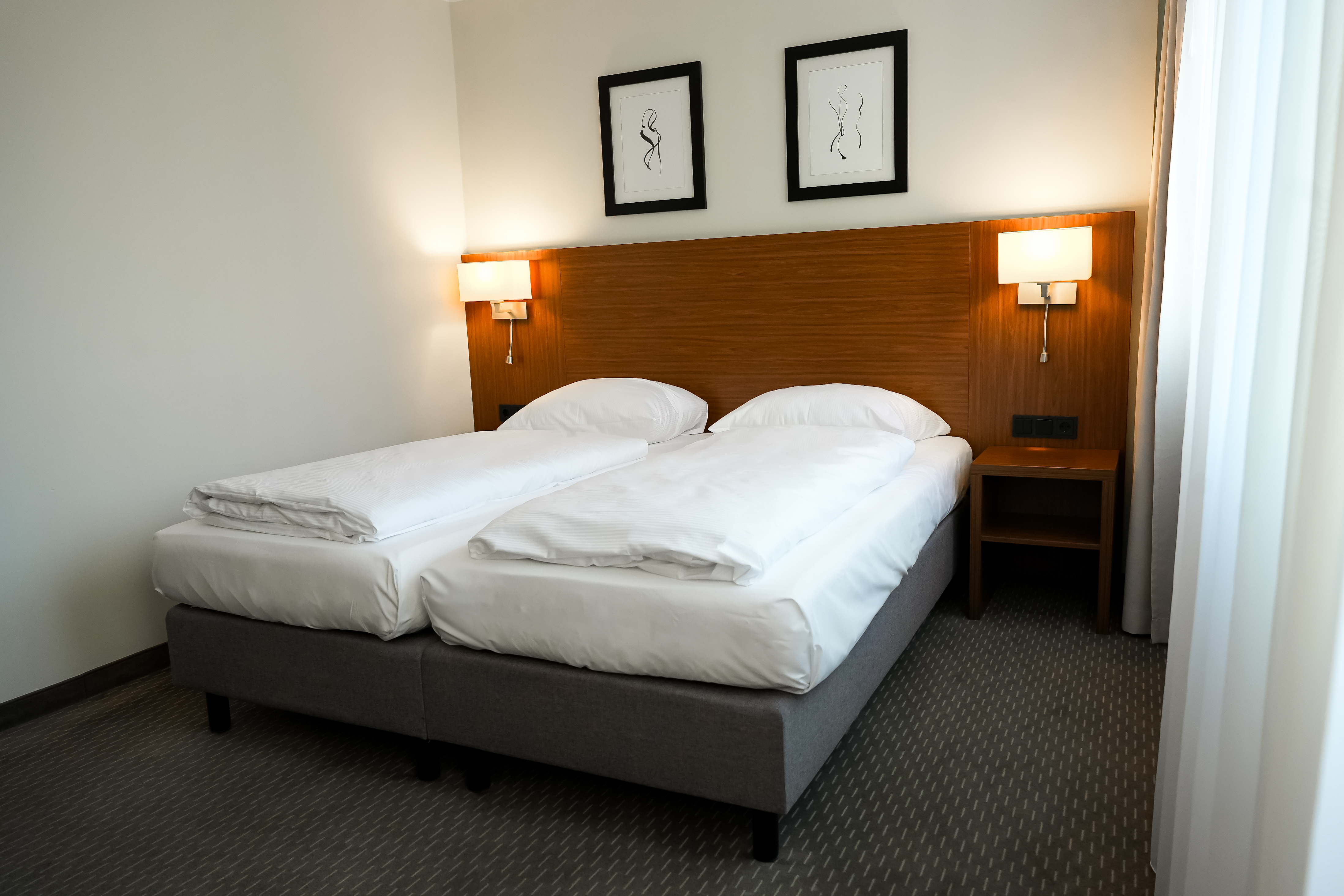 Double or Twin Standard