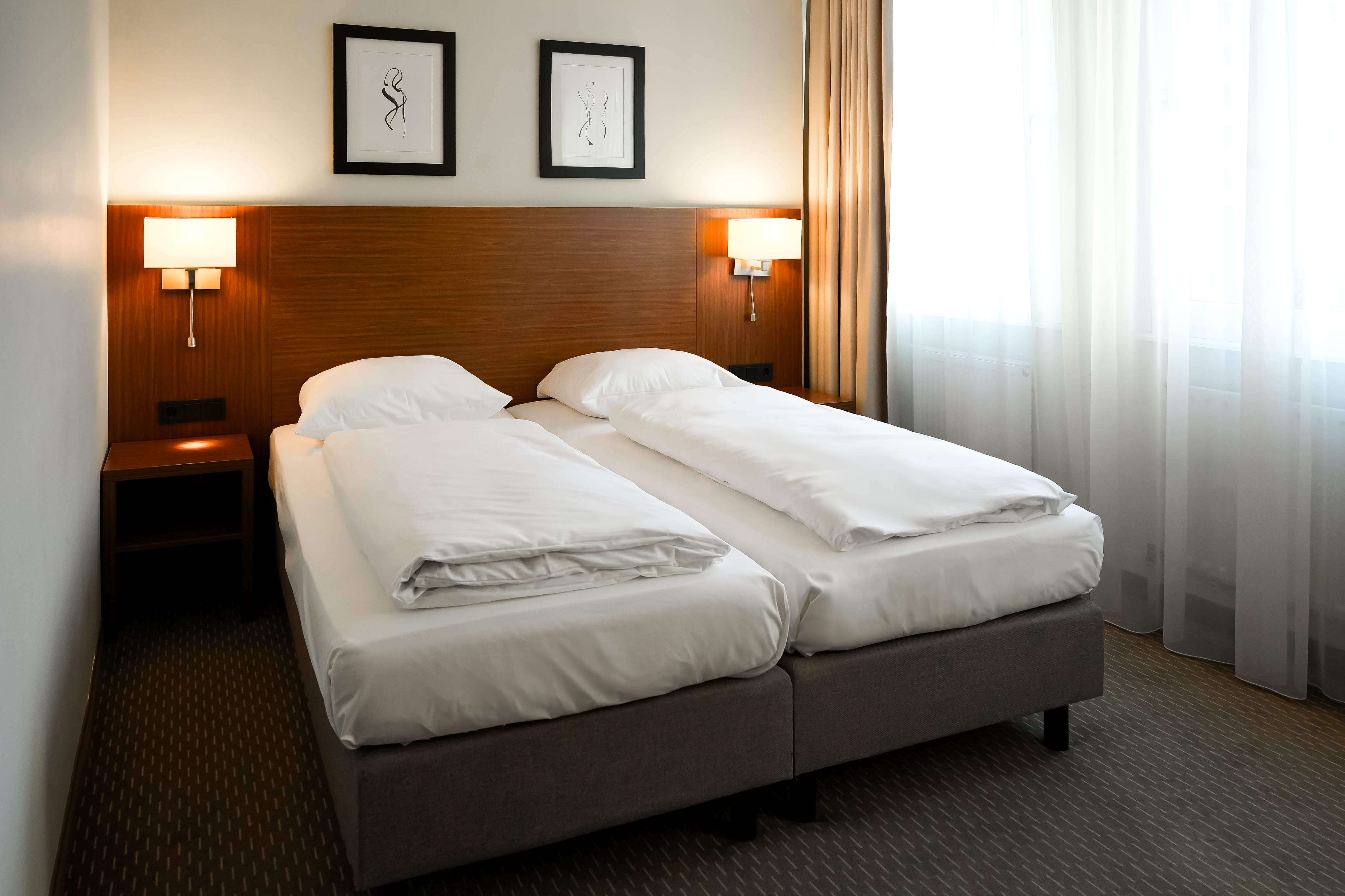 Double or Twin Standard