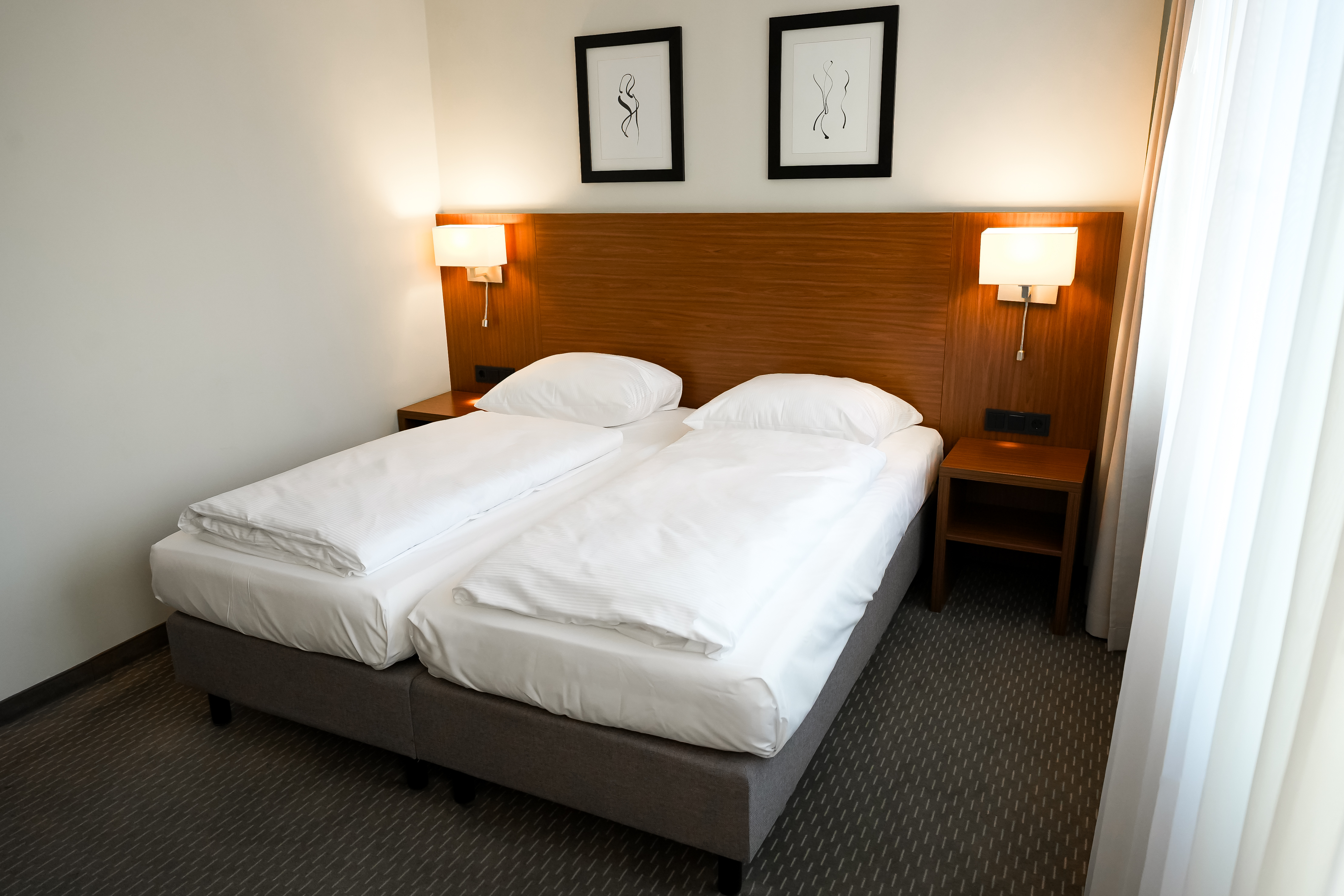 Double or Twin Standard