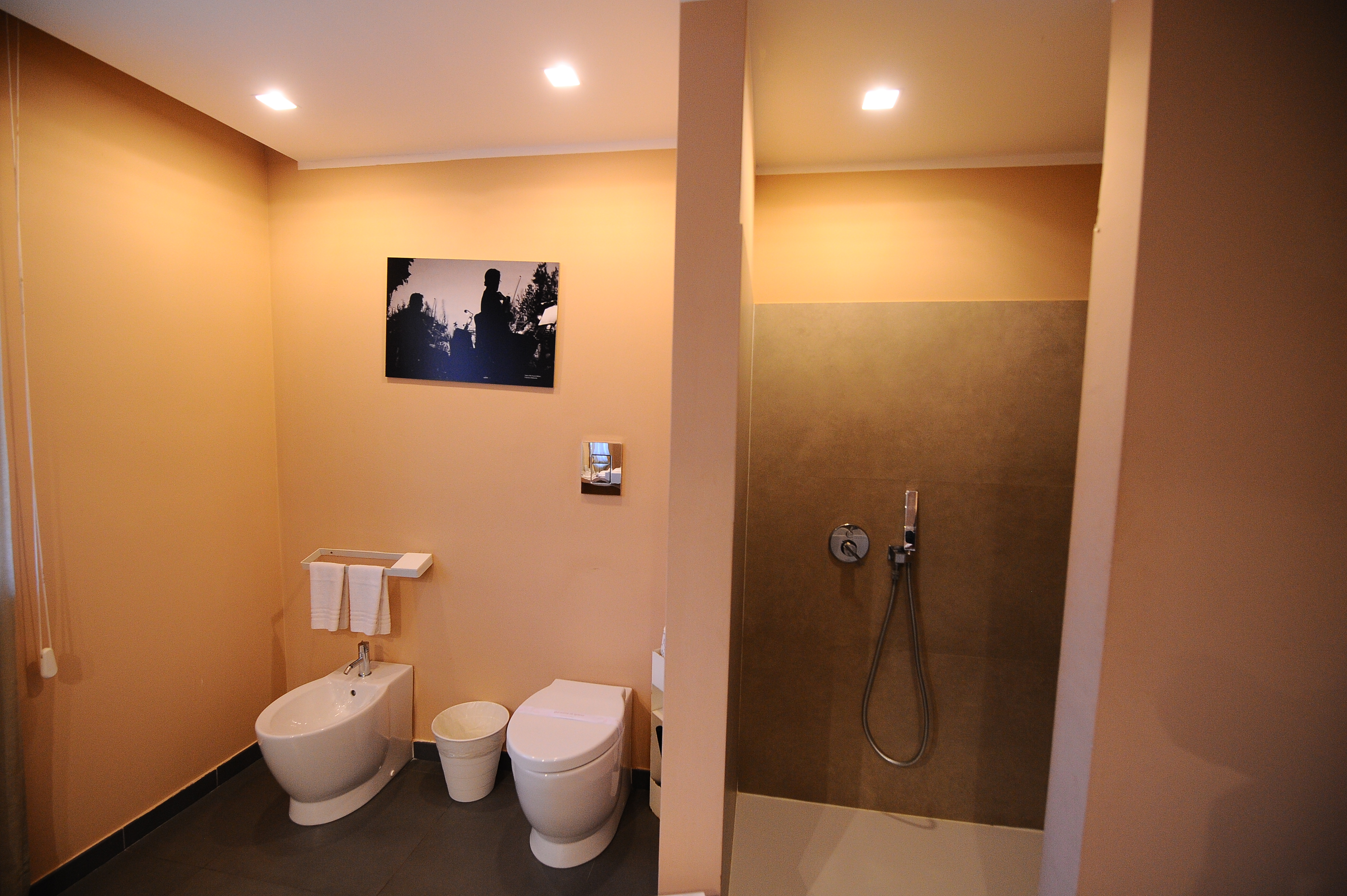 Double or Twin Superior