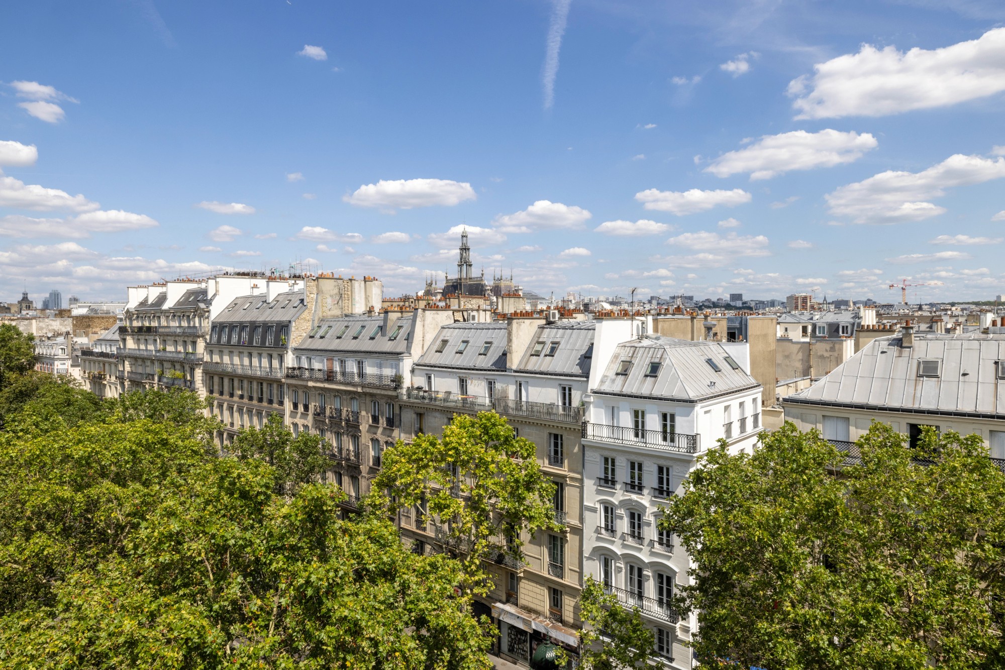 Junior Suite Classic