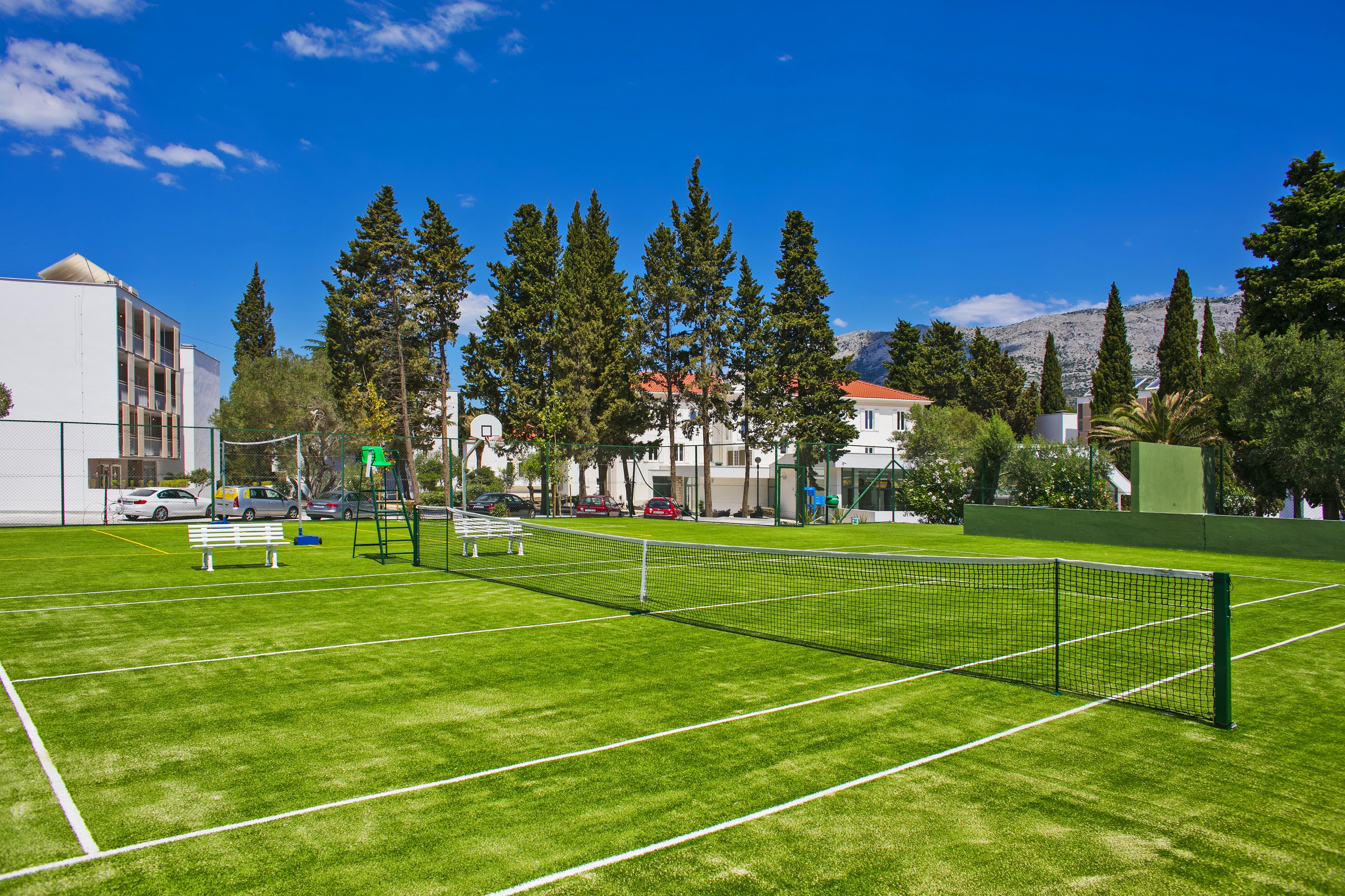 Sports and Entertainment