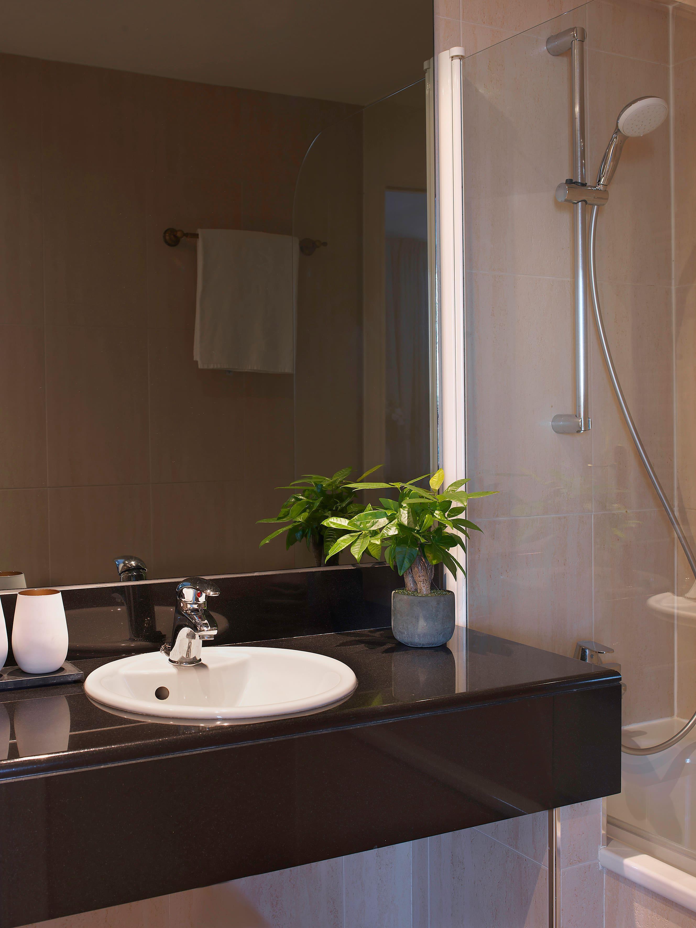 Double or Twin Superior