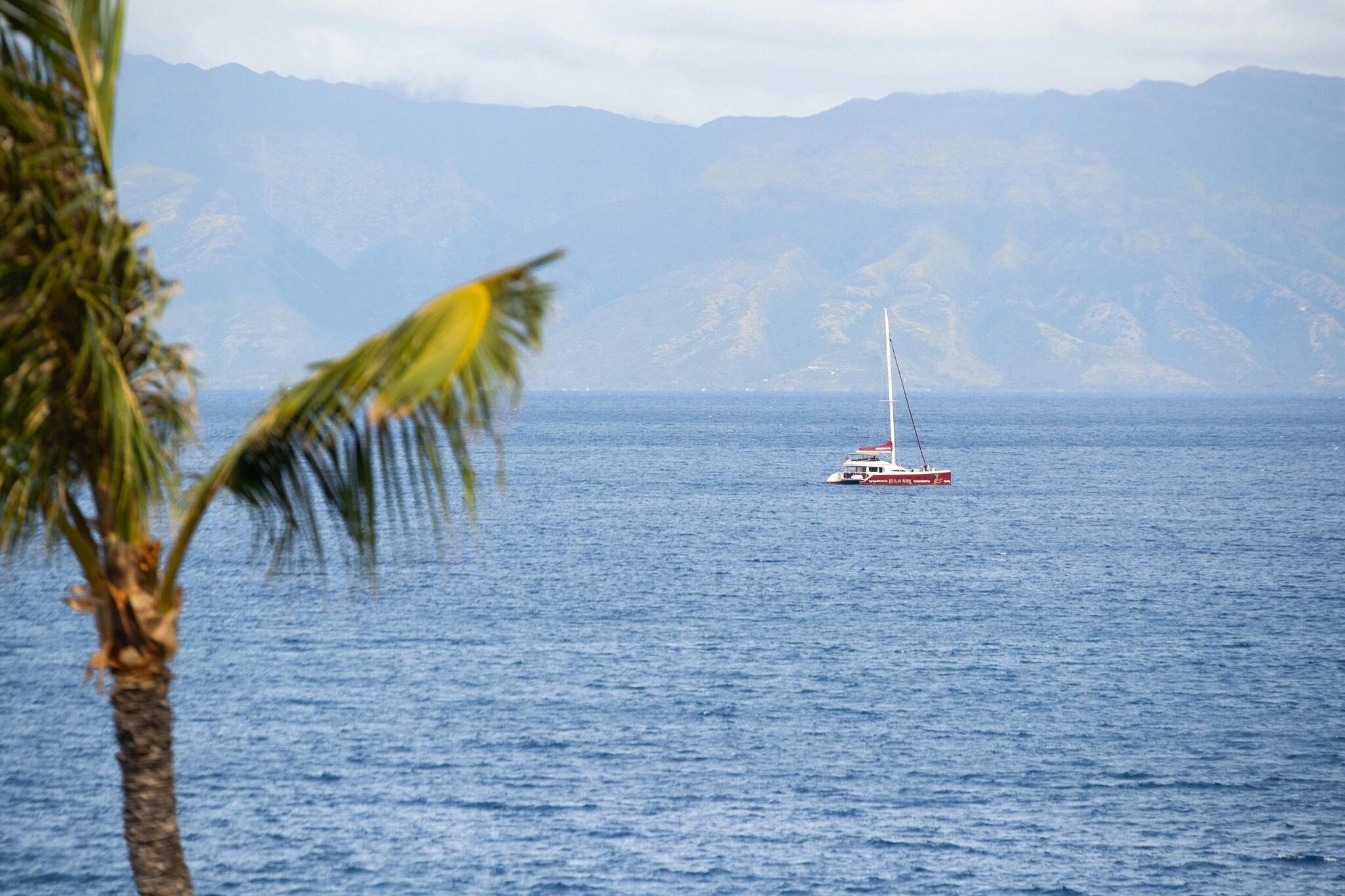 Suite Ocean Front King Bed