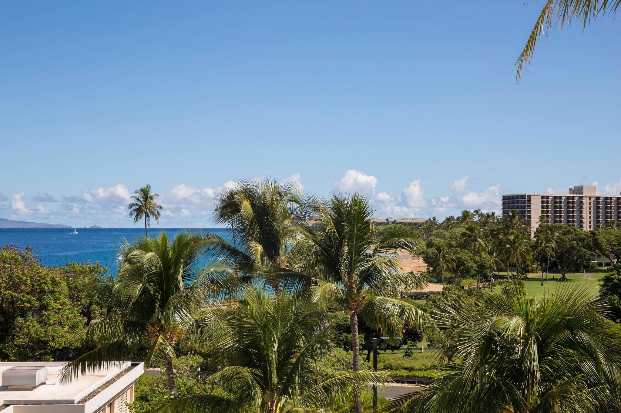 Double Partial Ocean View King Bed