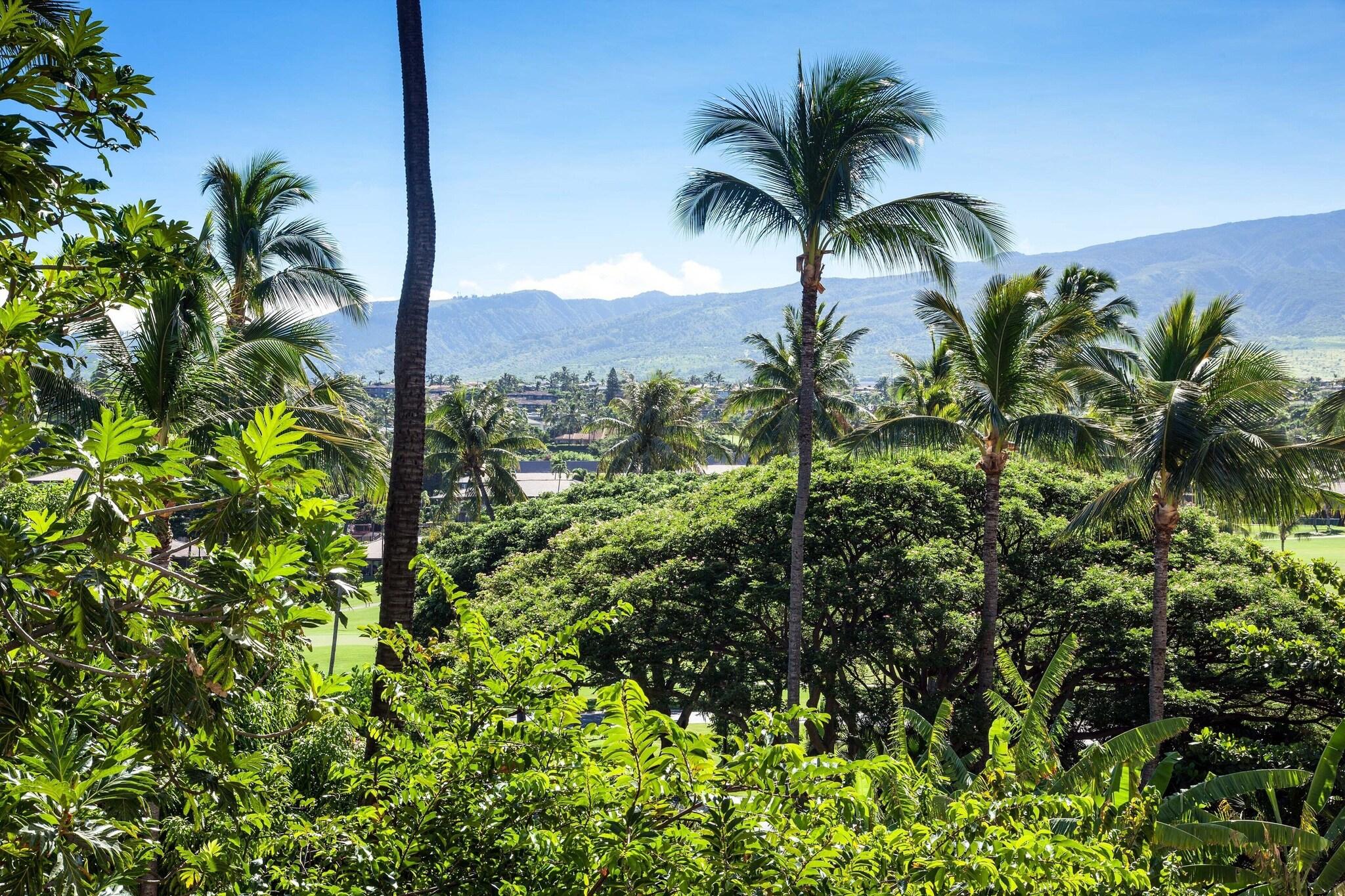 Quadruple Resort View