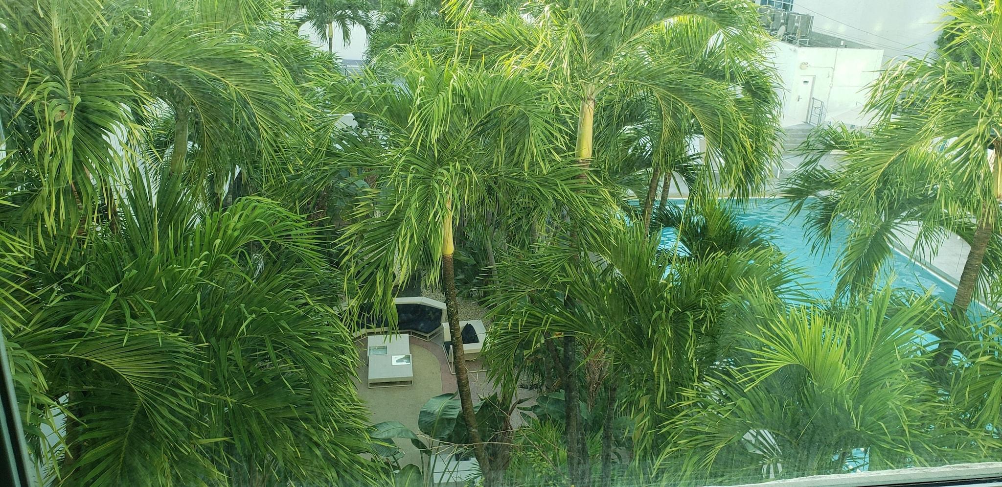 Junior Suite Pool View King Bed