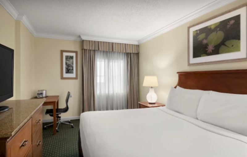 Double King Size Bed