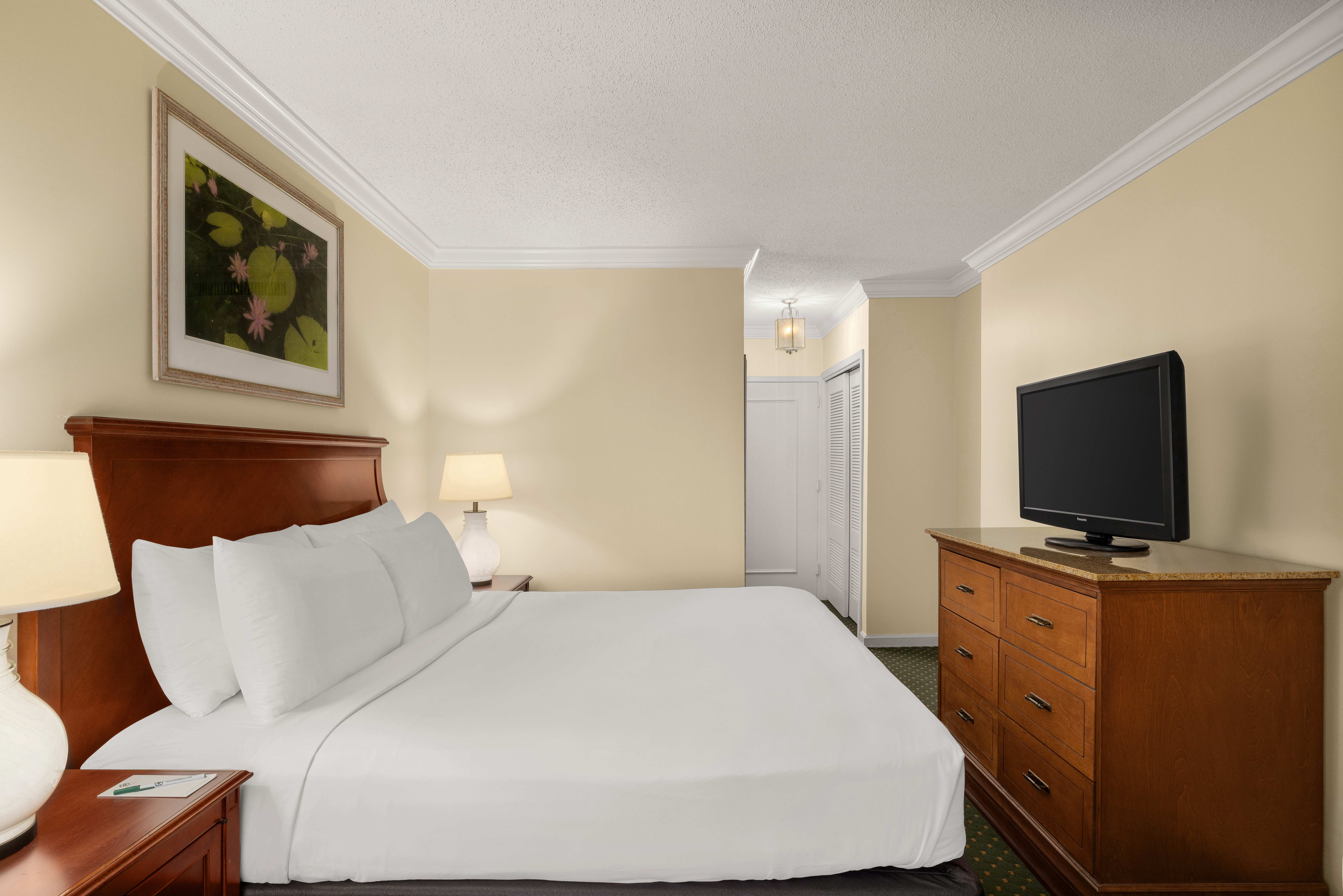 Room King Size Bed