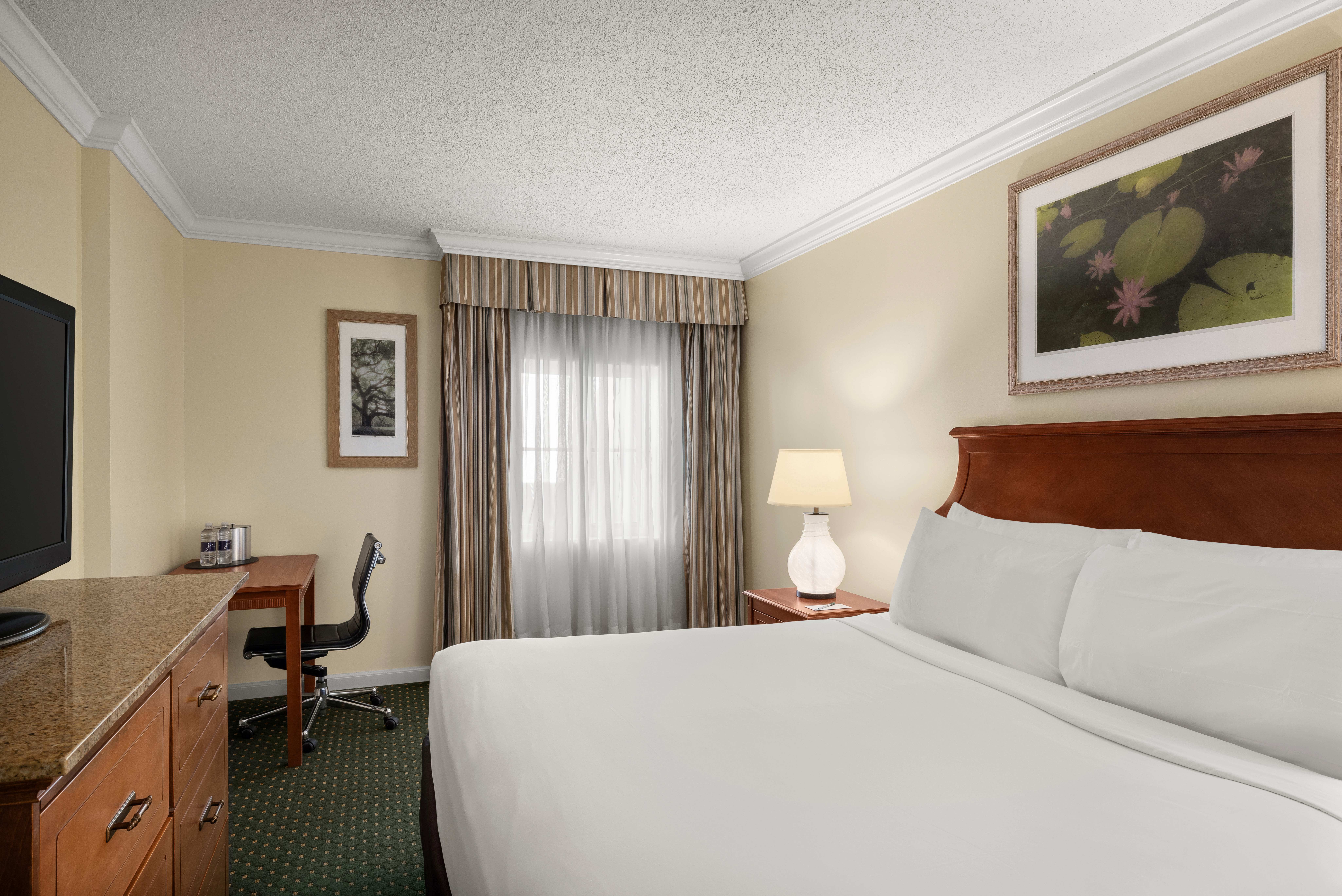Room King Size Bed