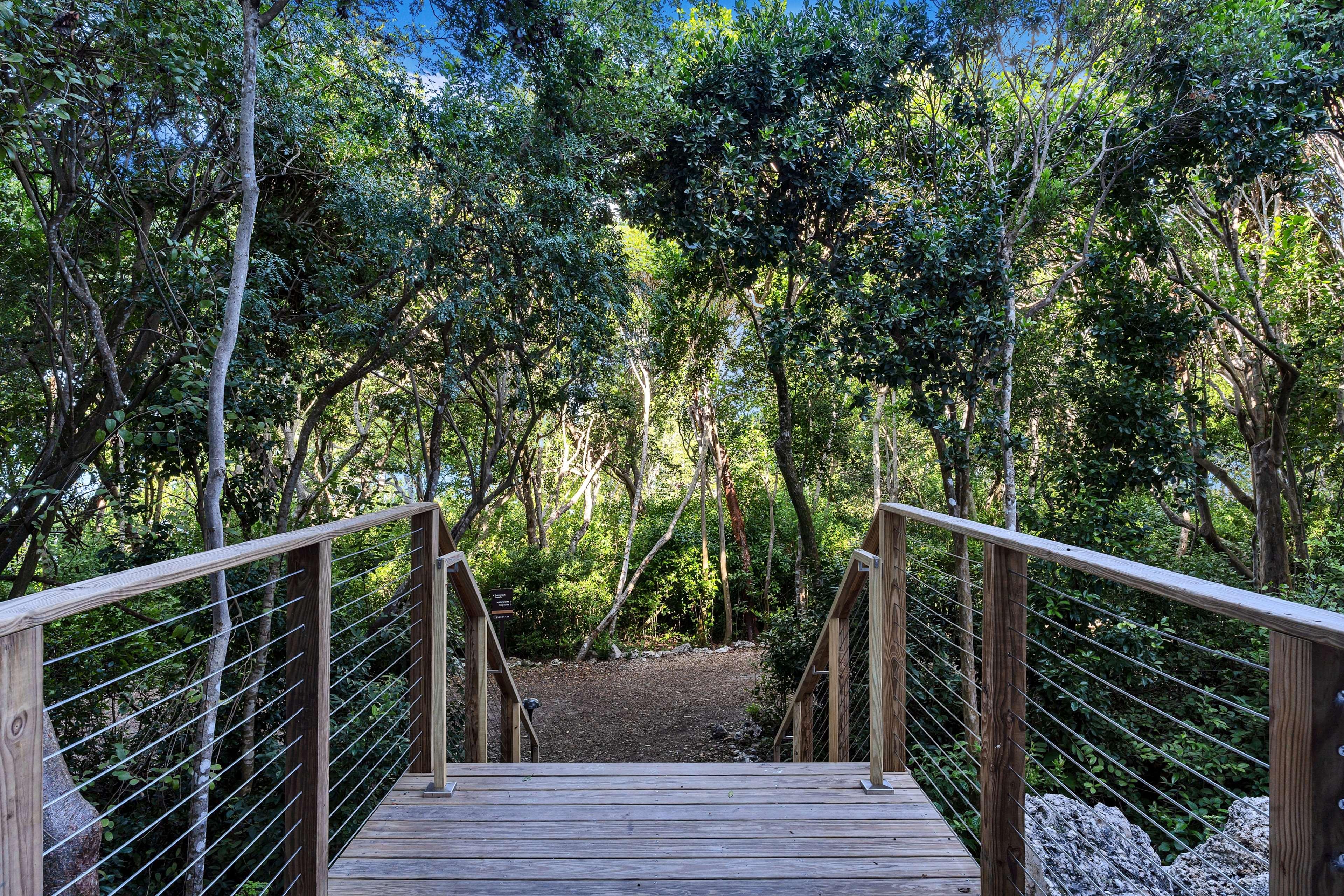 Twin Accessible-two Queen Beds