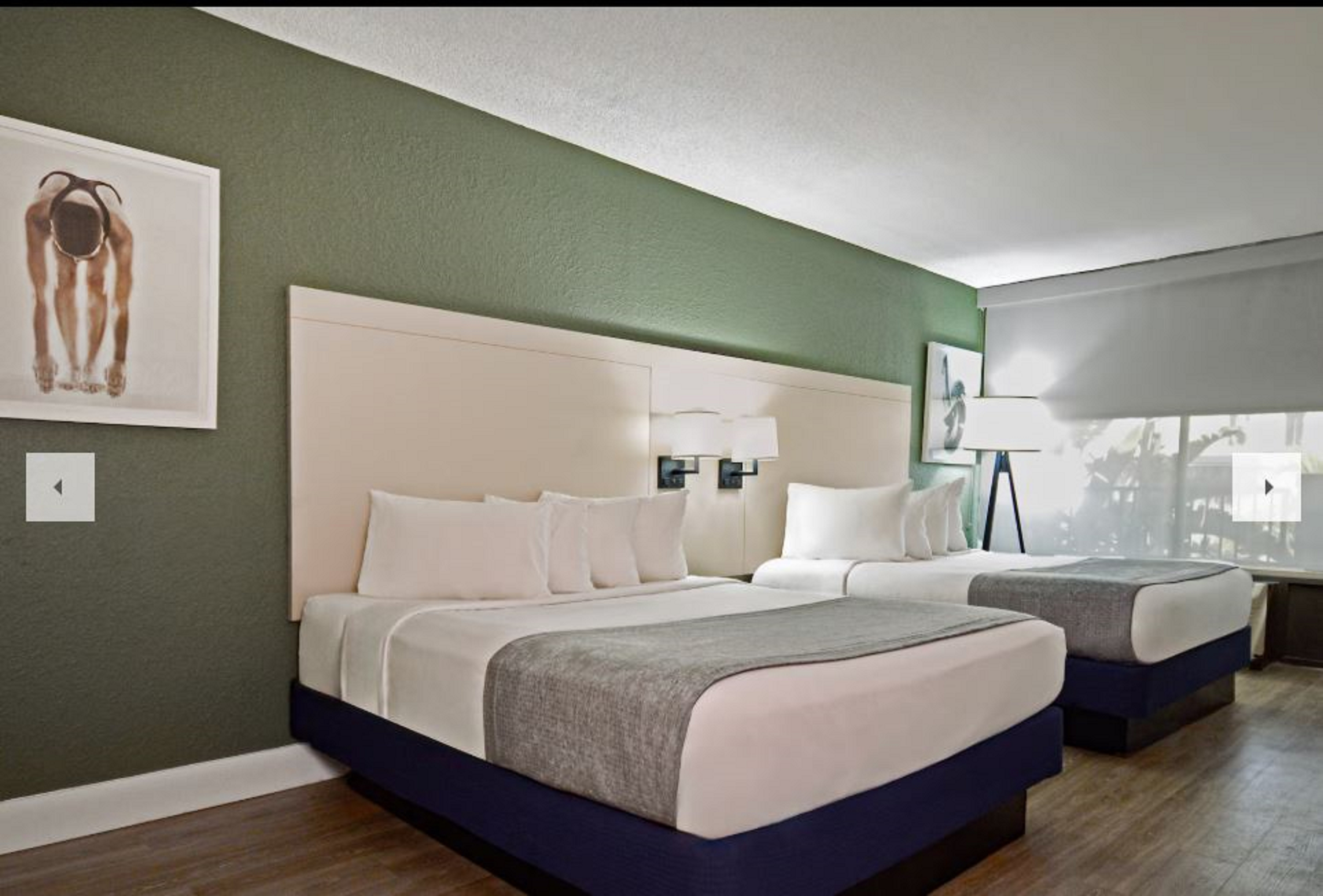 Double Two Queen Beds