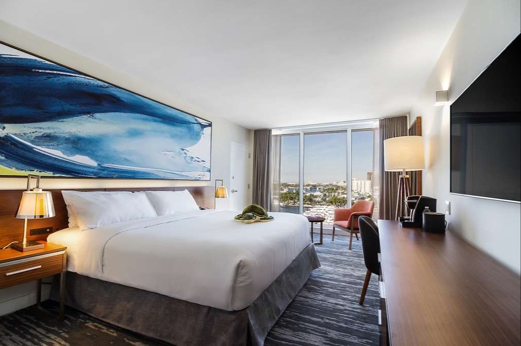 Double City View King Bed