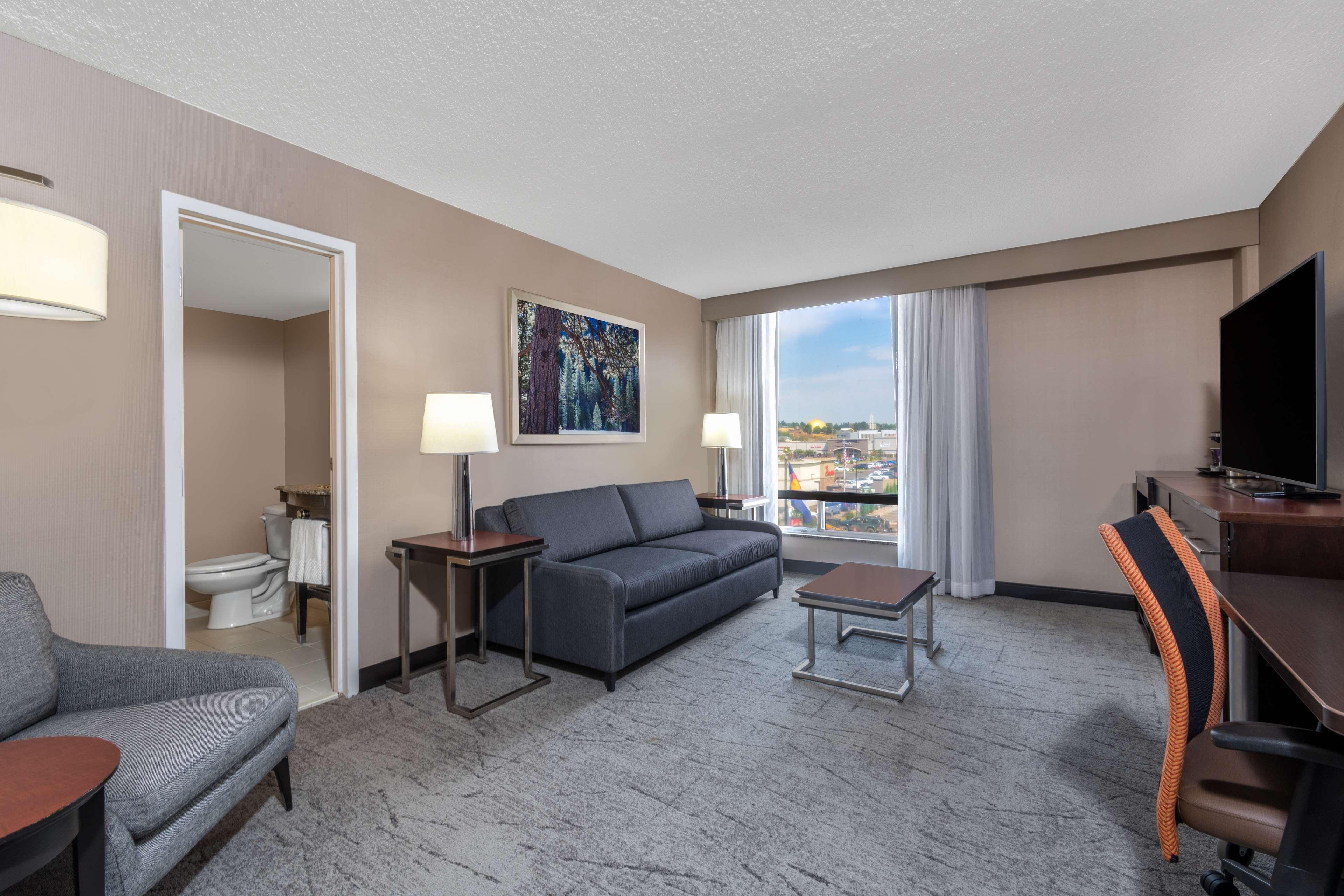 Suite King Bed One Bedroom 