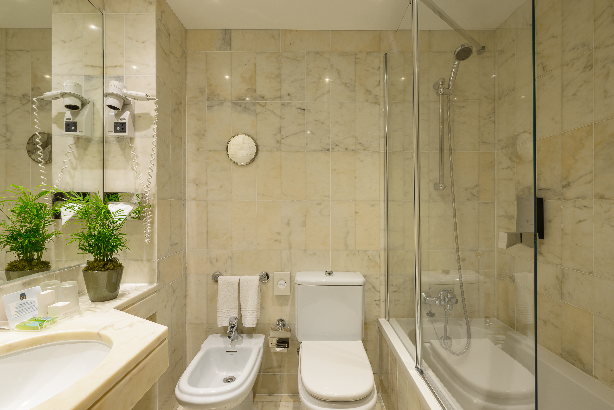 Double or Twin Standard