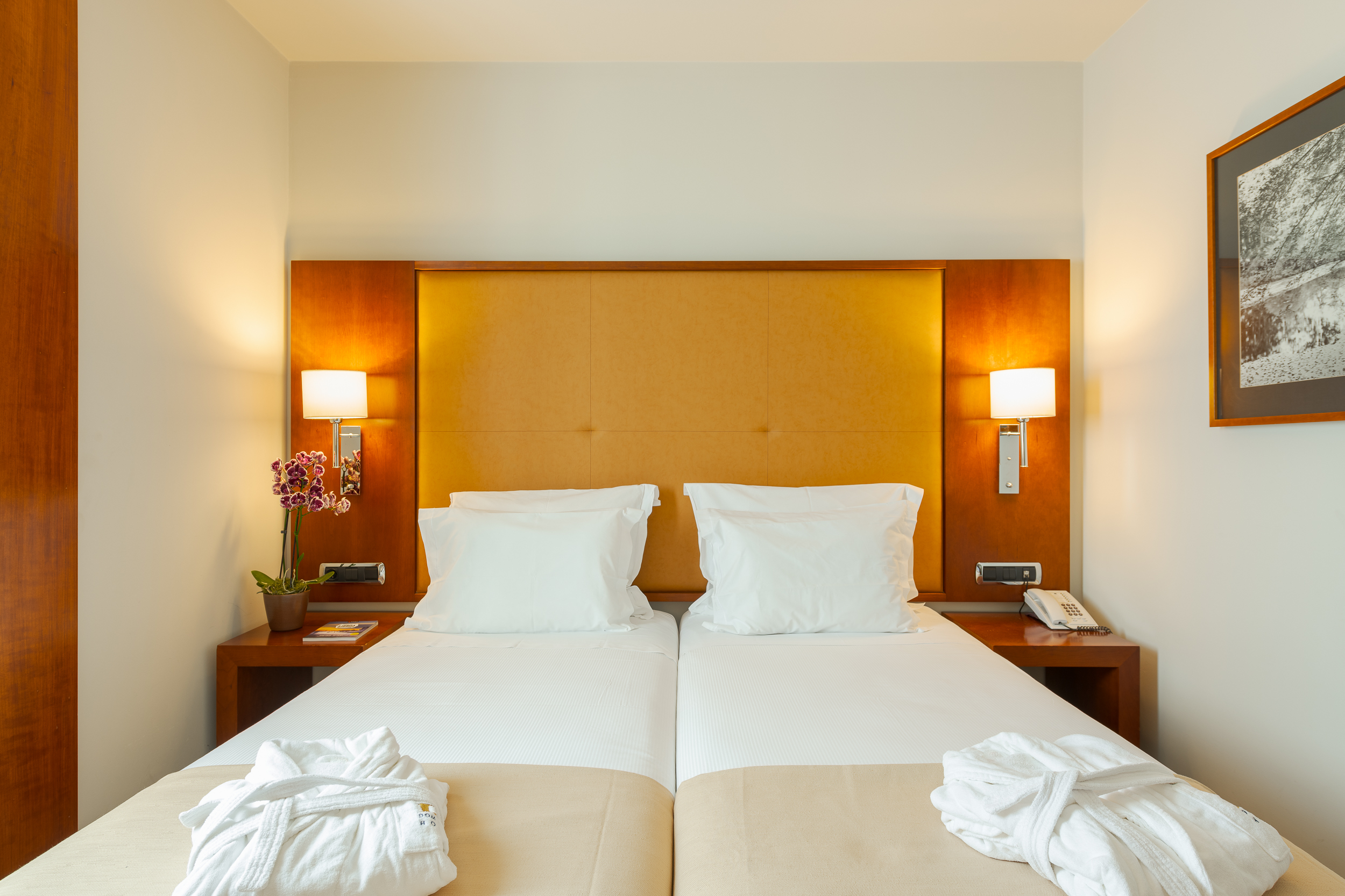 Double or Twin Deluxe