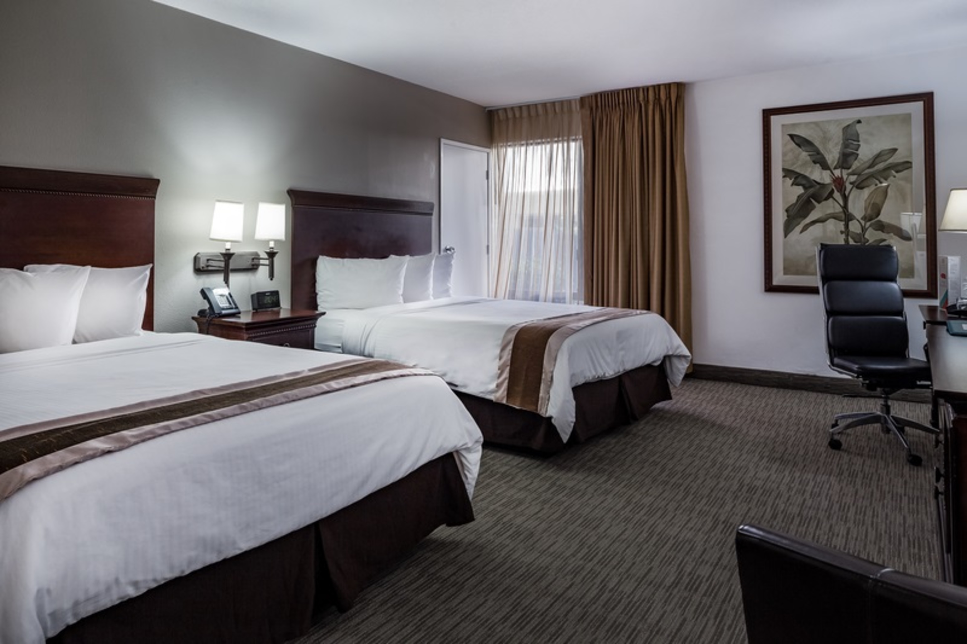 Double Executive Two Queen Beds