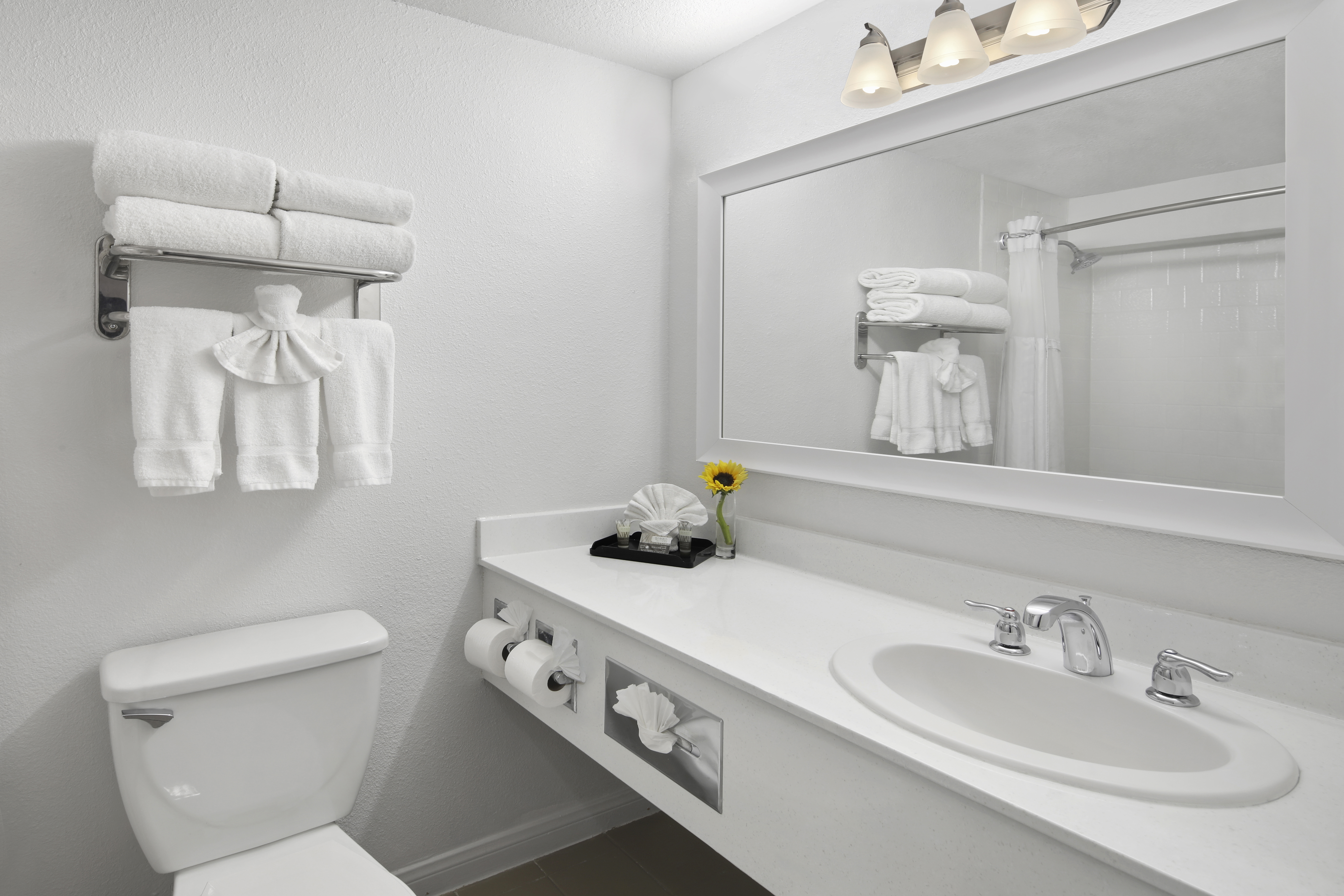 Double Two Queen Beds