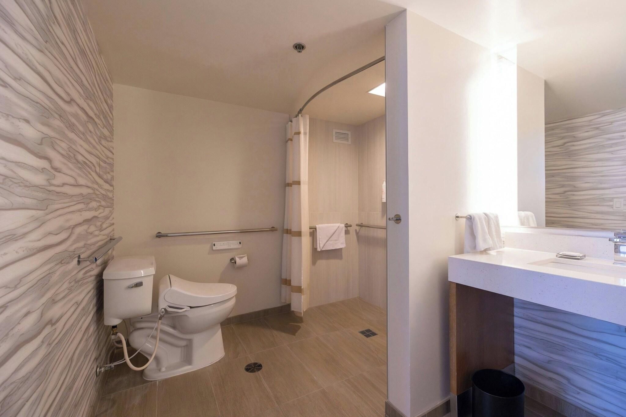 Family Room City View King Bed